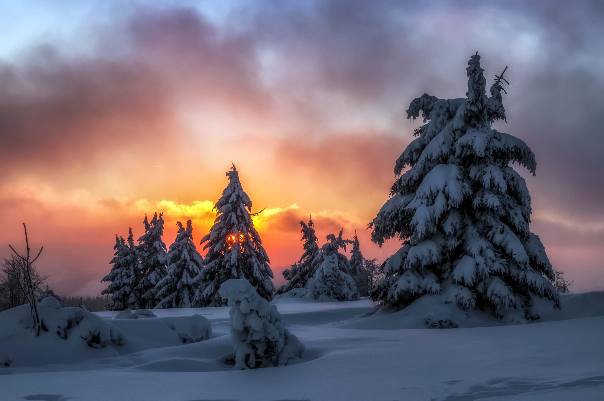 Скачать картинку Зима, Природа, Облака, Снег, Дерево, Земля/природа, Закат Солнца в телефон бесплатно.