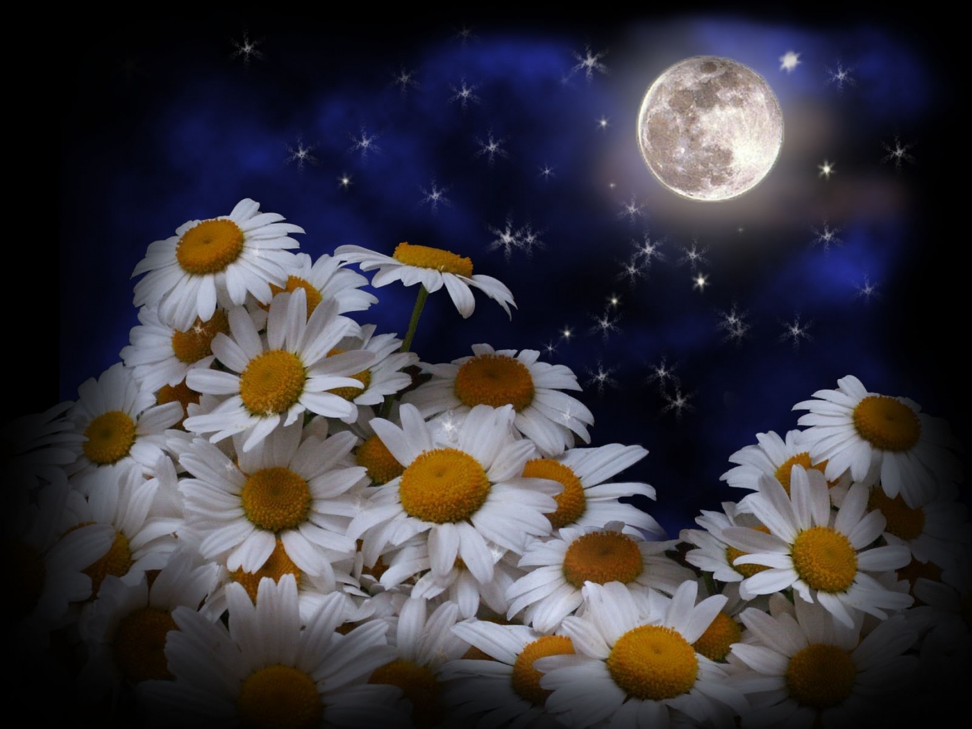 Скачать обои бесплатно Луна, Цветы, Ромашки, Растения картинка на рабочий стол ПК