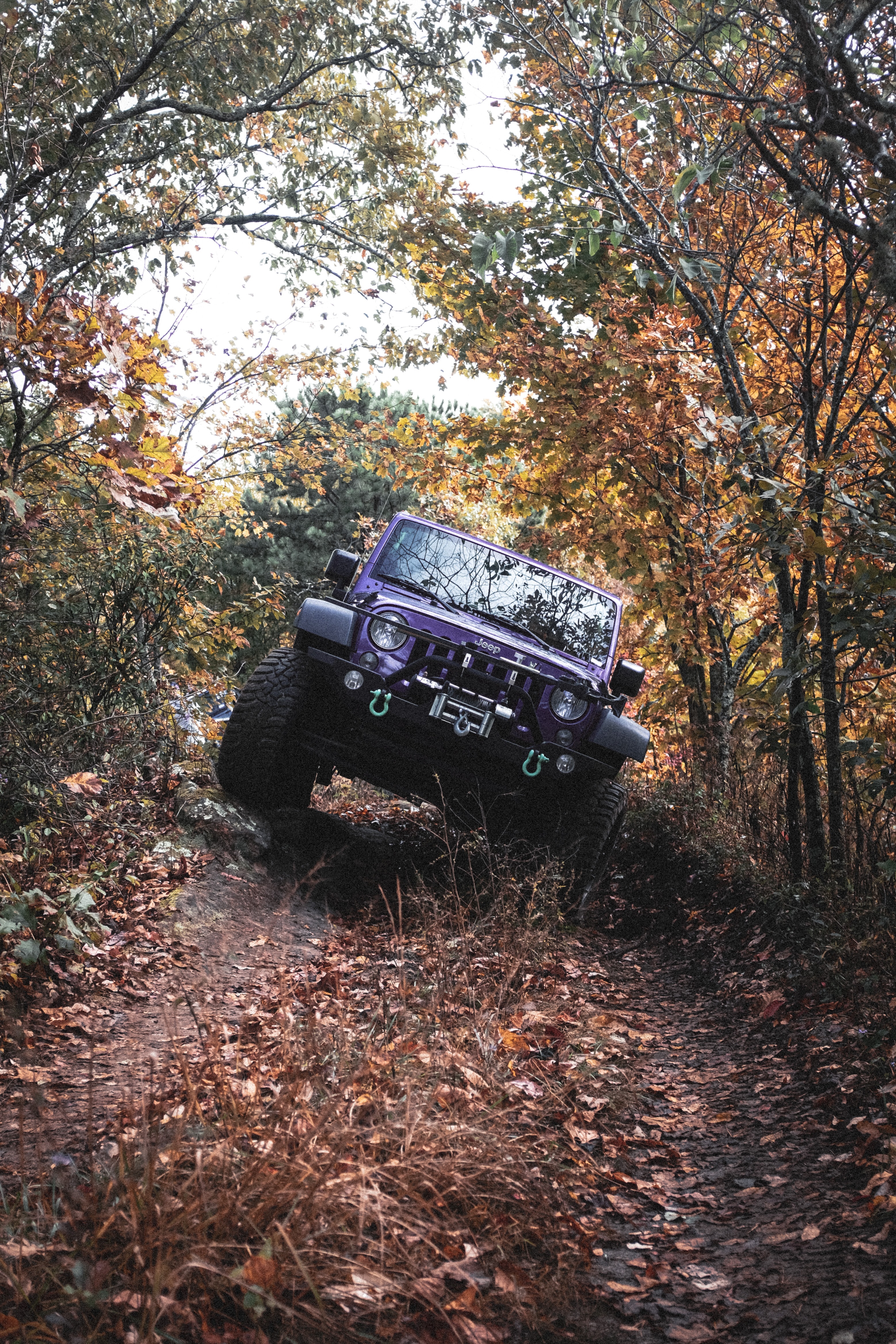 86888 скачать картинку jeep, внедорожник, jeep wrangler, автомобиль, тачки (cars), фиолетовый, оффроуд - обои и заставки бесплатно
