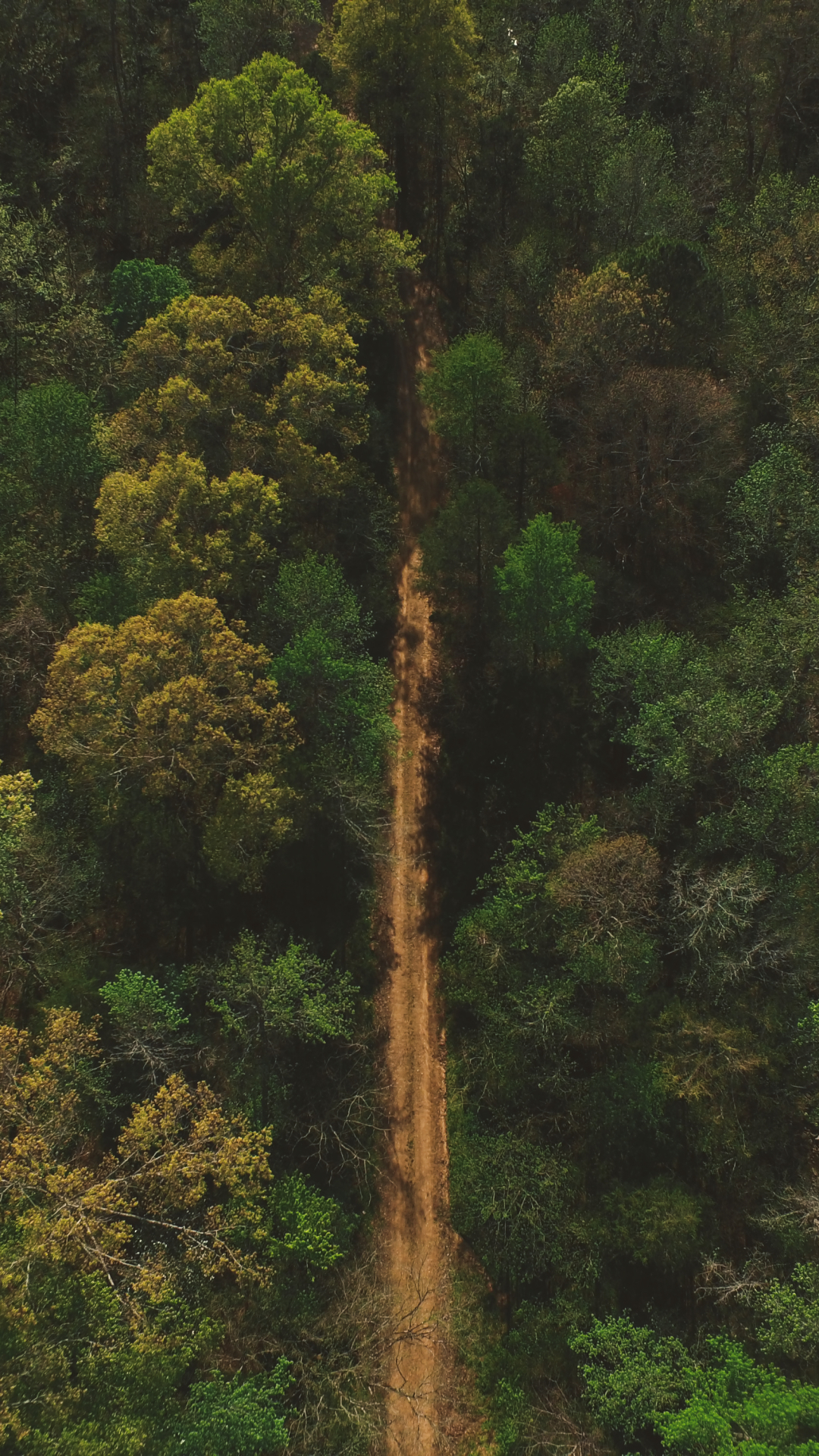 Download mobile wallpaper Nature, Forest, Earth, Aerial, Dirt Road for free.