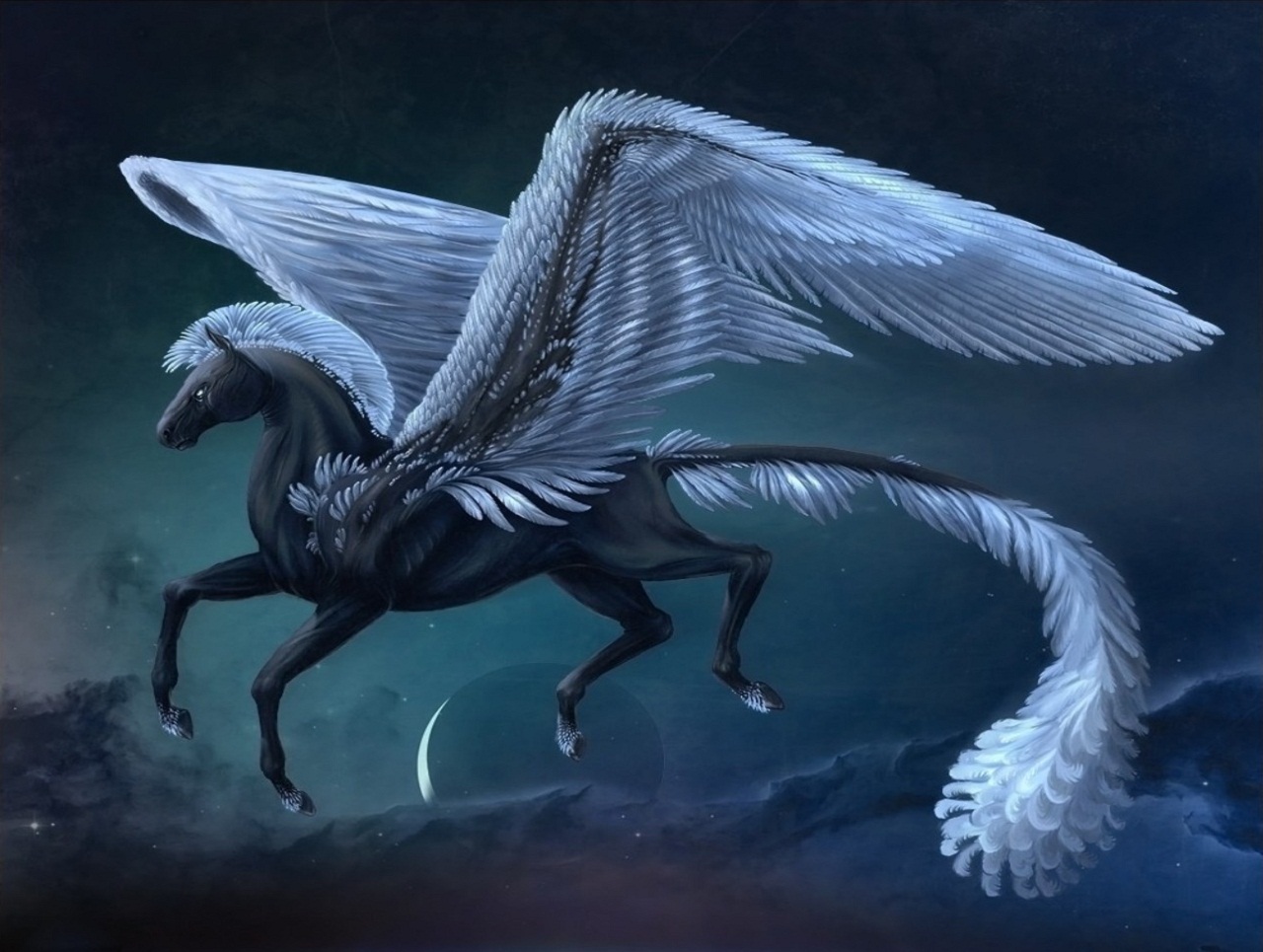 pegasus, fantasy, horse, wings