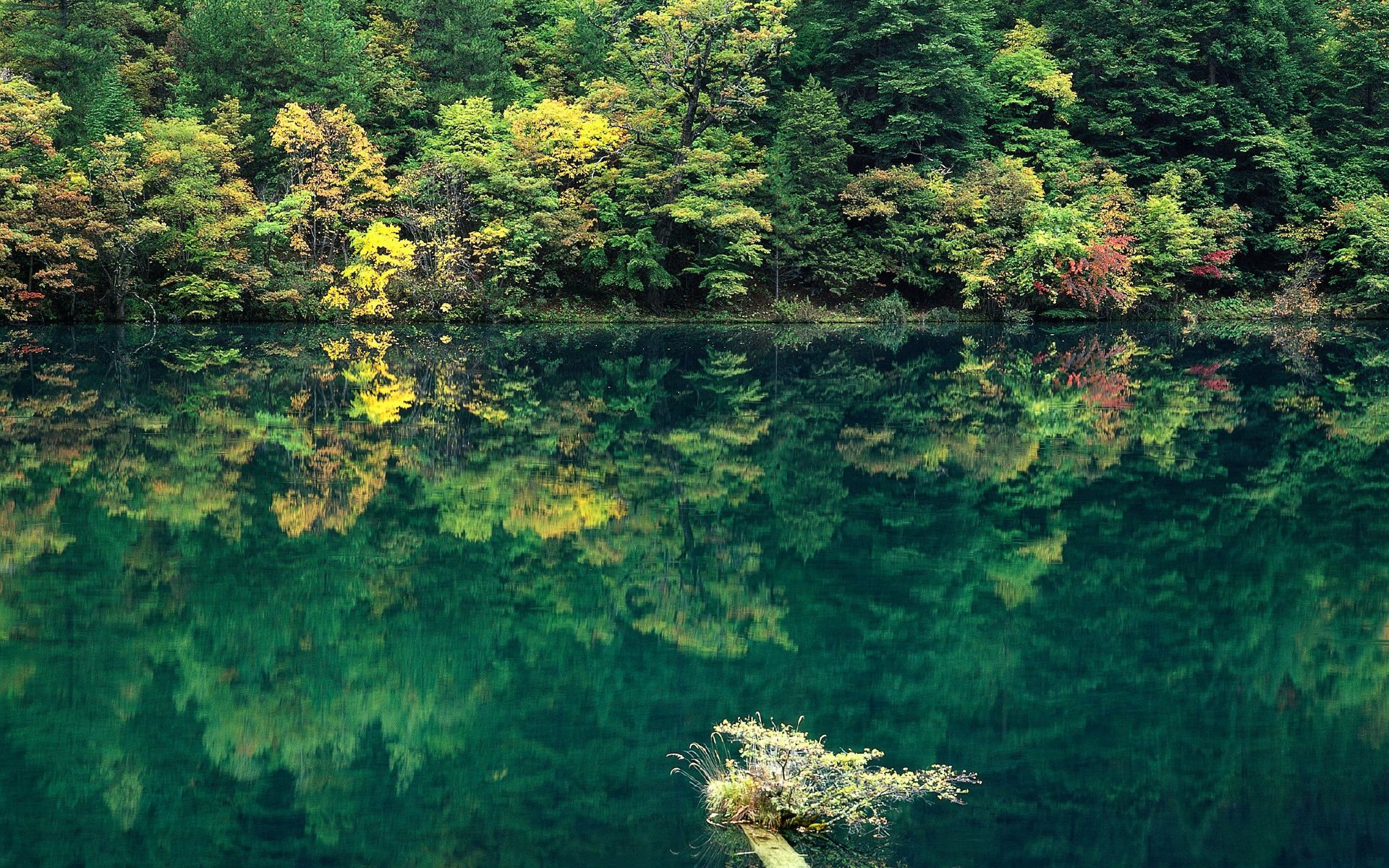 Download mobile wallpaper Lake, Reflection, Forest, Fall, Earth for free.