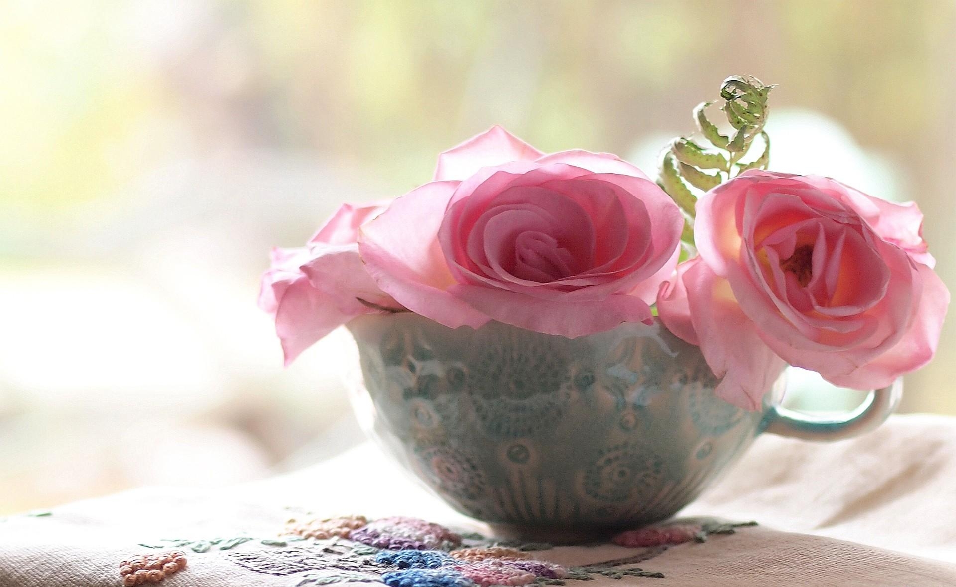 Laden Sie das Eine Tasse, Tasse, Blumen, Nahaufnahme, Nahansicht, Roses-Bild kostenlos auf Ihren PC-Desktop herunter