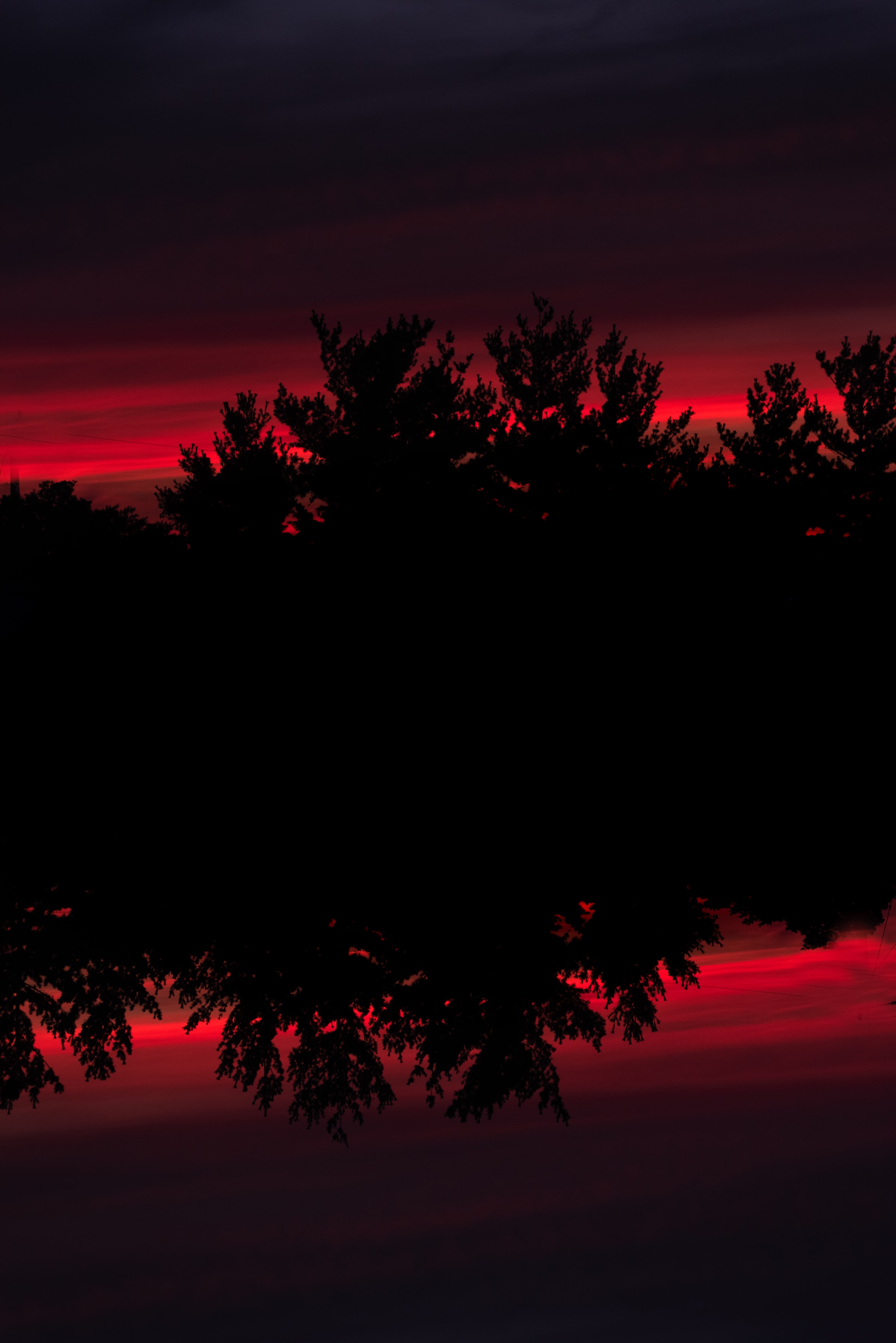 Handy-Wallpaper Sunset, Bush, Reflexion, Silhouette, Natur kostenlos herunterladen.