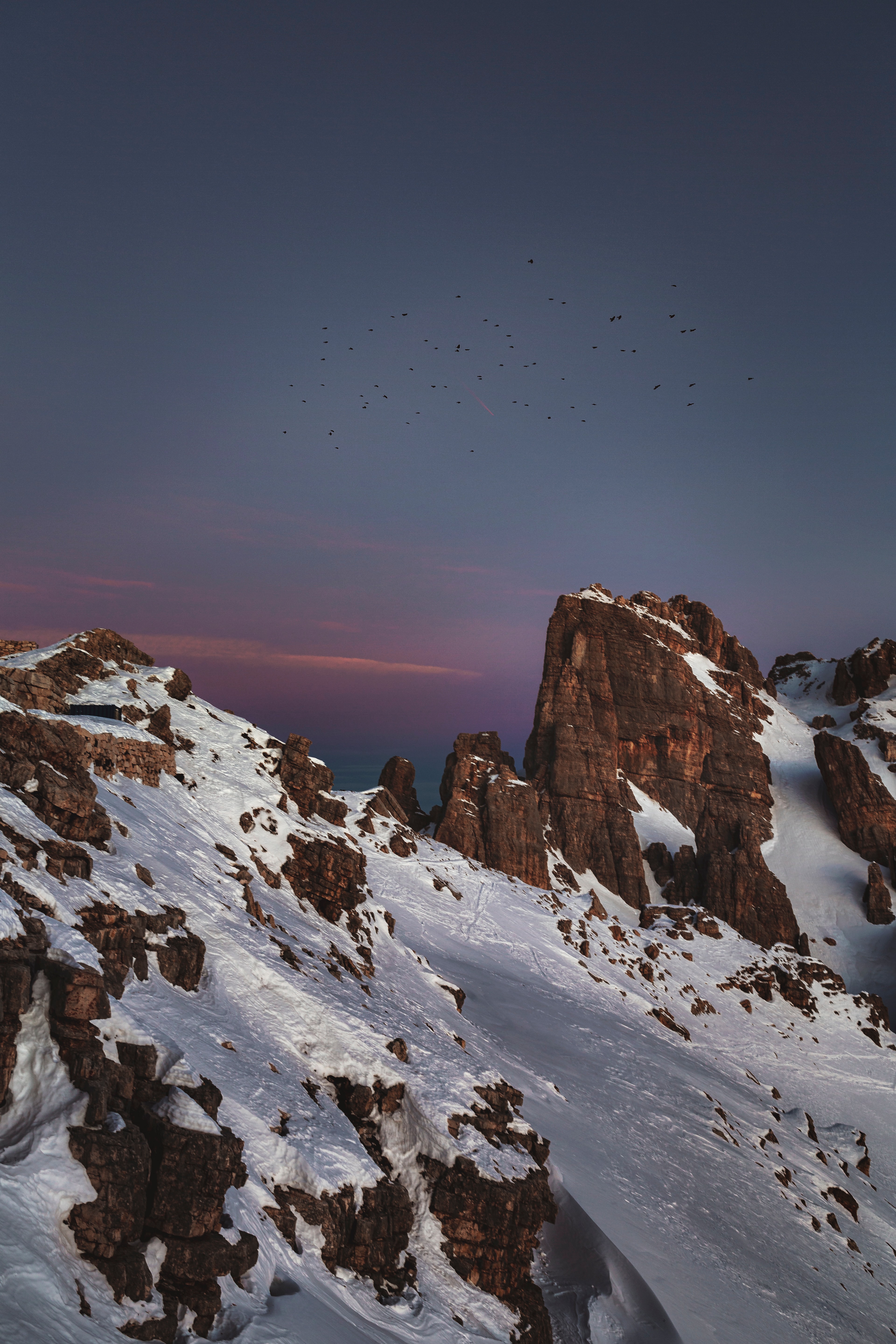 Descarga gratis la imagen Naturaleza, Birds, Nieve, Montañas, Vértice, Tops en el escritorio de tu PC