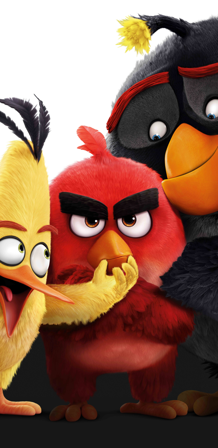 angry birds, the angry birds movie, movie iphone wallpaper