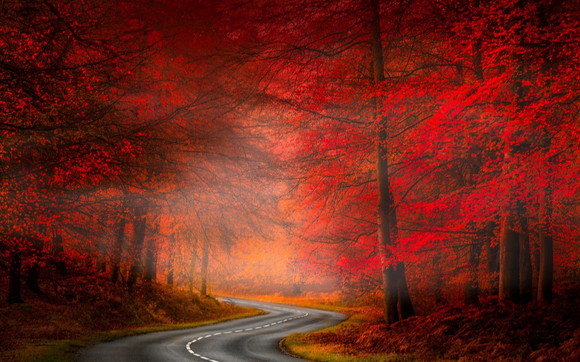 Скачать картинку Осень, Дорога, Лес, Красный, Дерево, Туман, Земля, Сделано Человеком в телефон бесплатно.