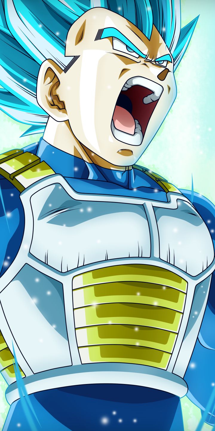 Descarga gratuita de fondo de pantalla para móvil de Esfera Del Dragón, Animado, Vegeta (Bola De Dragón), Dragon Ball Super.