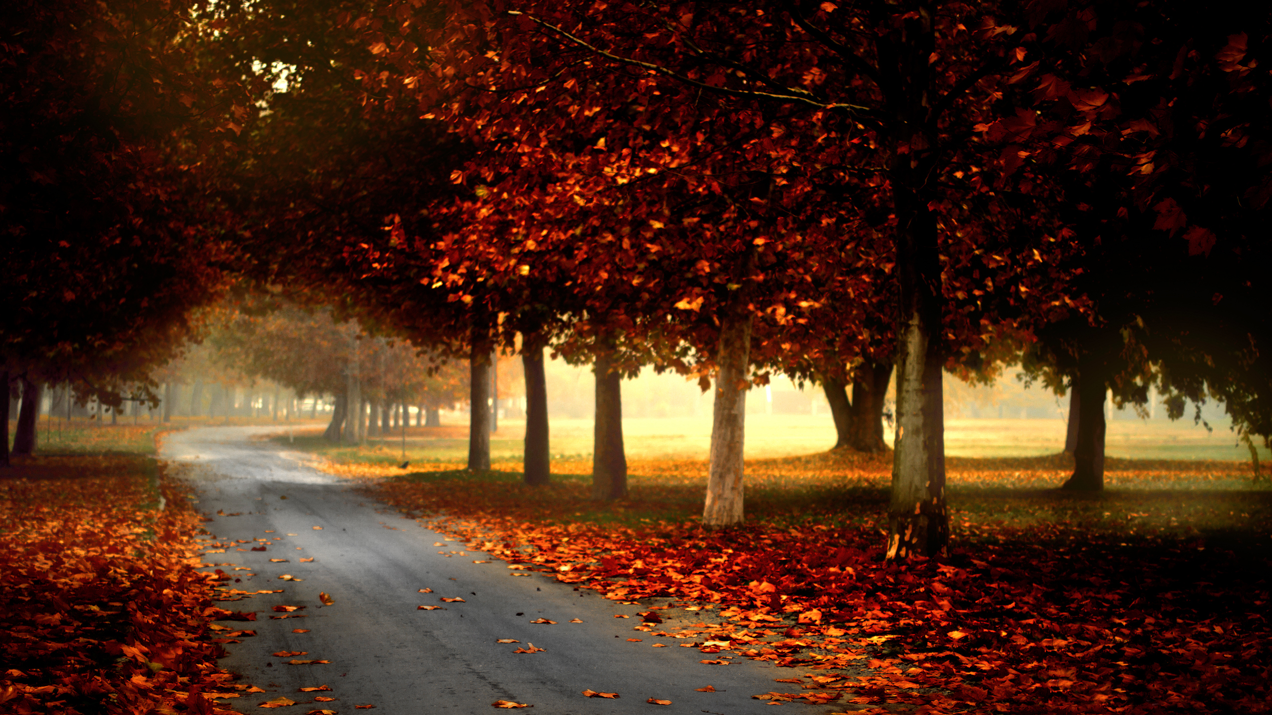 Free download wallpaper Photography, Fall on your PC desktop