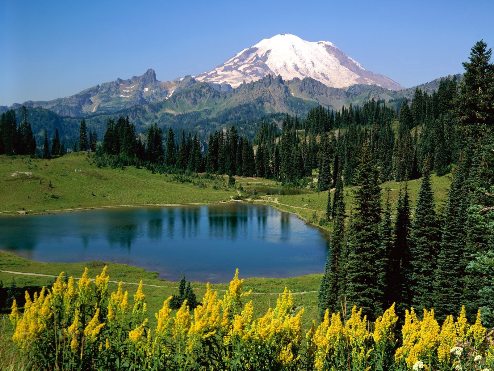 83460 скачать обои озеро, луг, альпы, природа, горы, цветы, деревья, вершина - заставки и картинки бесплатно