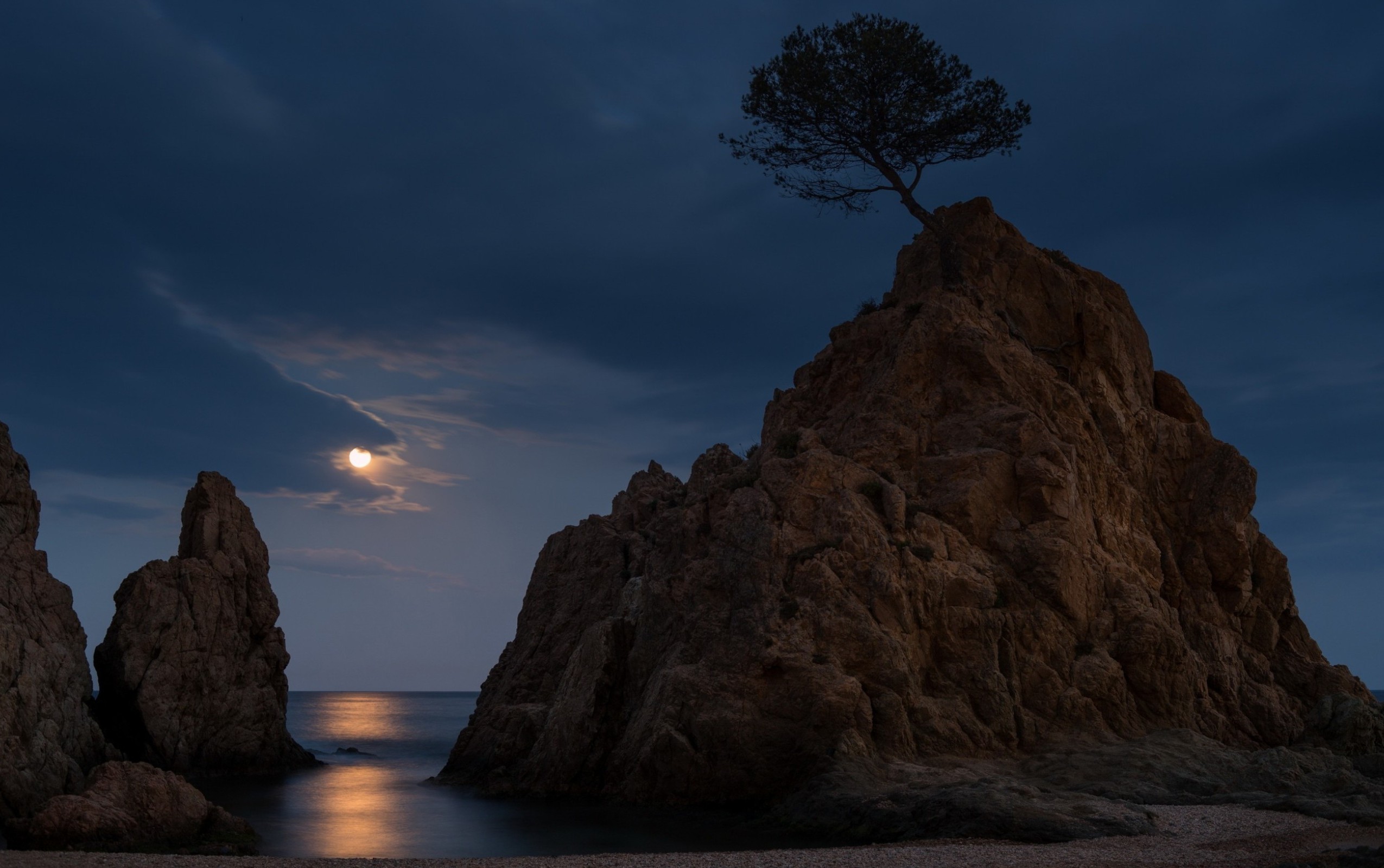 Download mobile wallpaper Sea, Night, Moon, Rock, Tree, Earth for free.