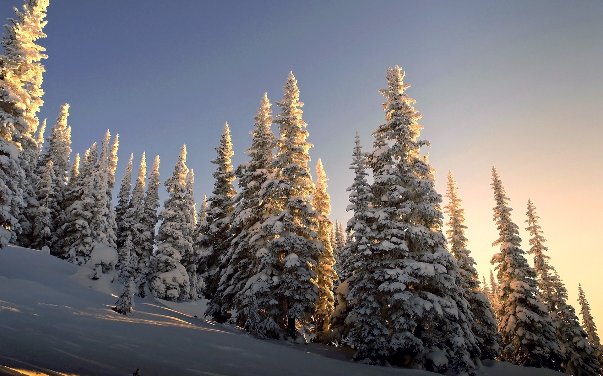 Скачать обои бесплатно Зима, Снег, Гора, Земля/природа картинка на рабочий стол ПК