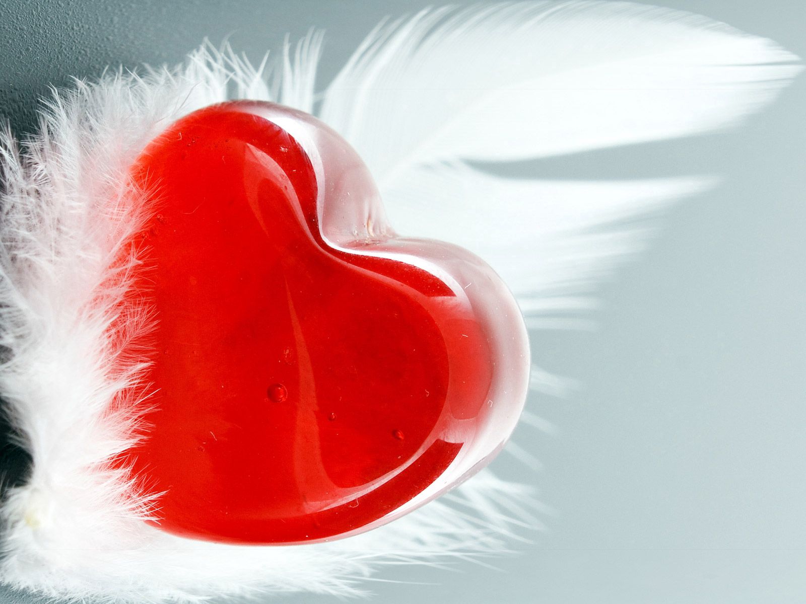 Free download wallpaper Feather, Pen, Heart, Love on your PC desktop