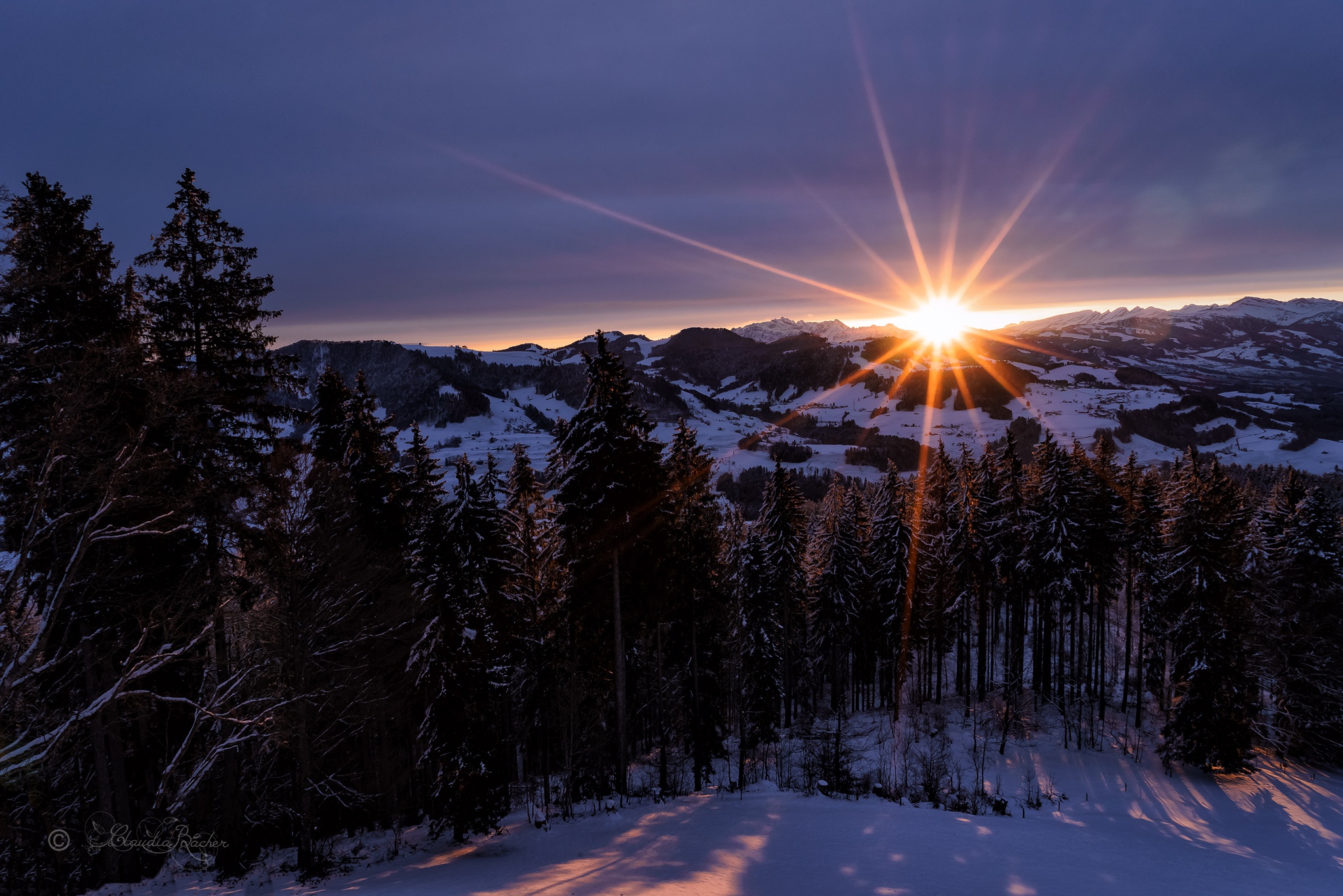 Descarga gratis la imagen Invierno, Naturaleza, Amanecer, Montaña, Bosque, Tierra/naturaleza en el escritorio de tu PC