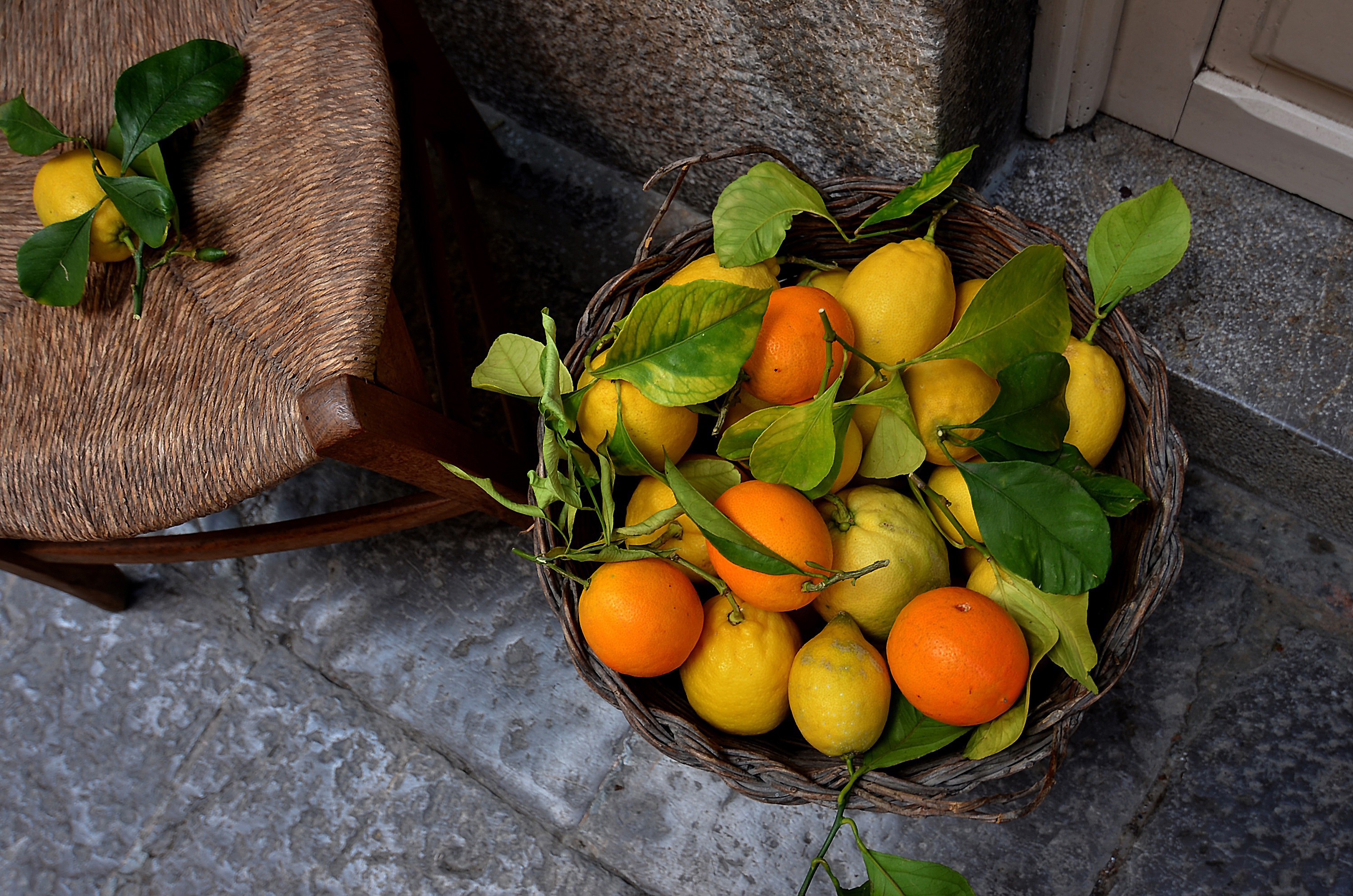 Handy-Wallpaper Zitrone, Frucht, Nahrungsmittel, Früchte, Orange (Obst) kostenlos herunterladen.