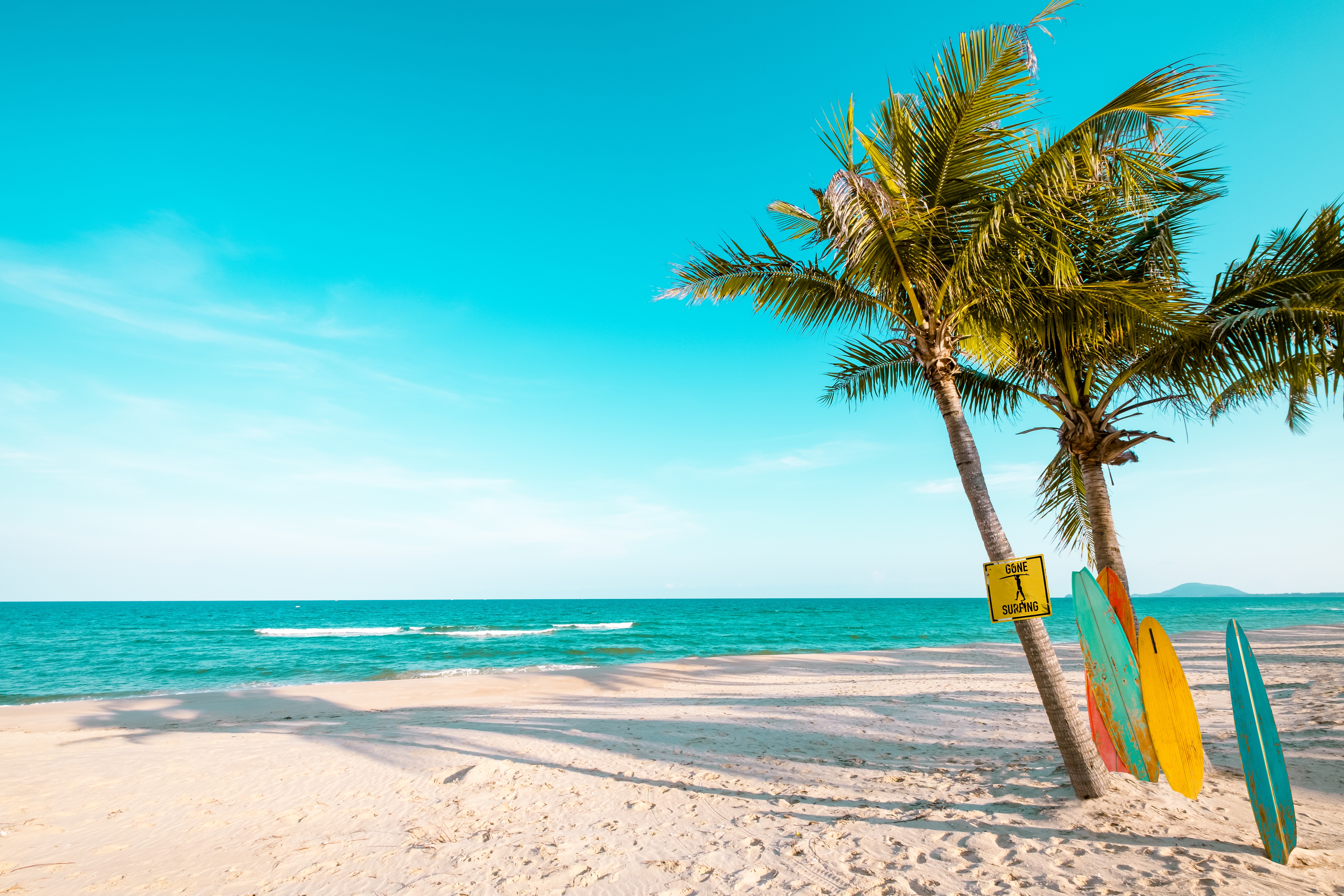 970307 télécharger l'image planche de surf, photographie, plage, horizon, palmier, le sable, mer, ciel, été - fonds d'écran et économiseurs d'écran gratuits