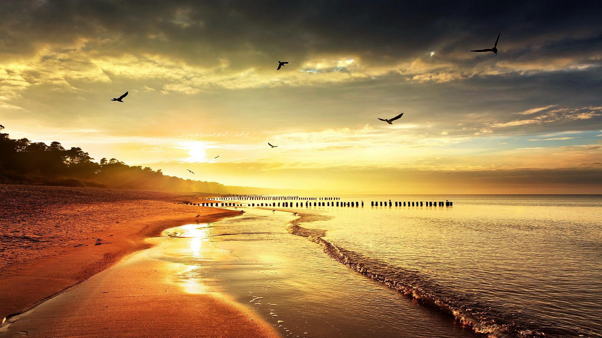 Download mobile wallpaper Beach, Earth for free.