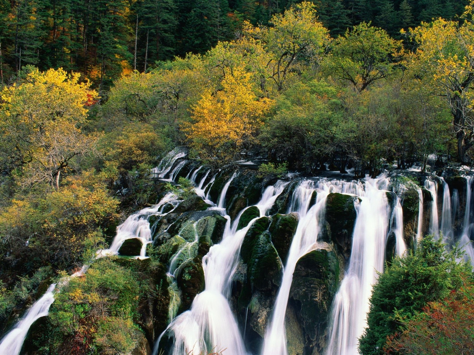 Download mobile wallpaper Landscape, Trees, Waterfalls for free.