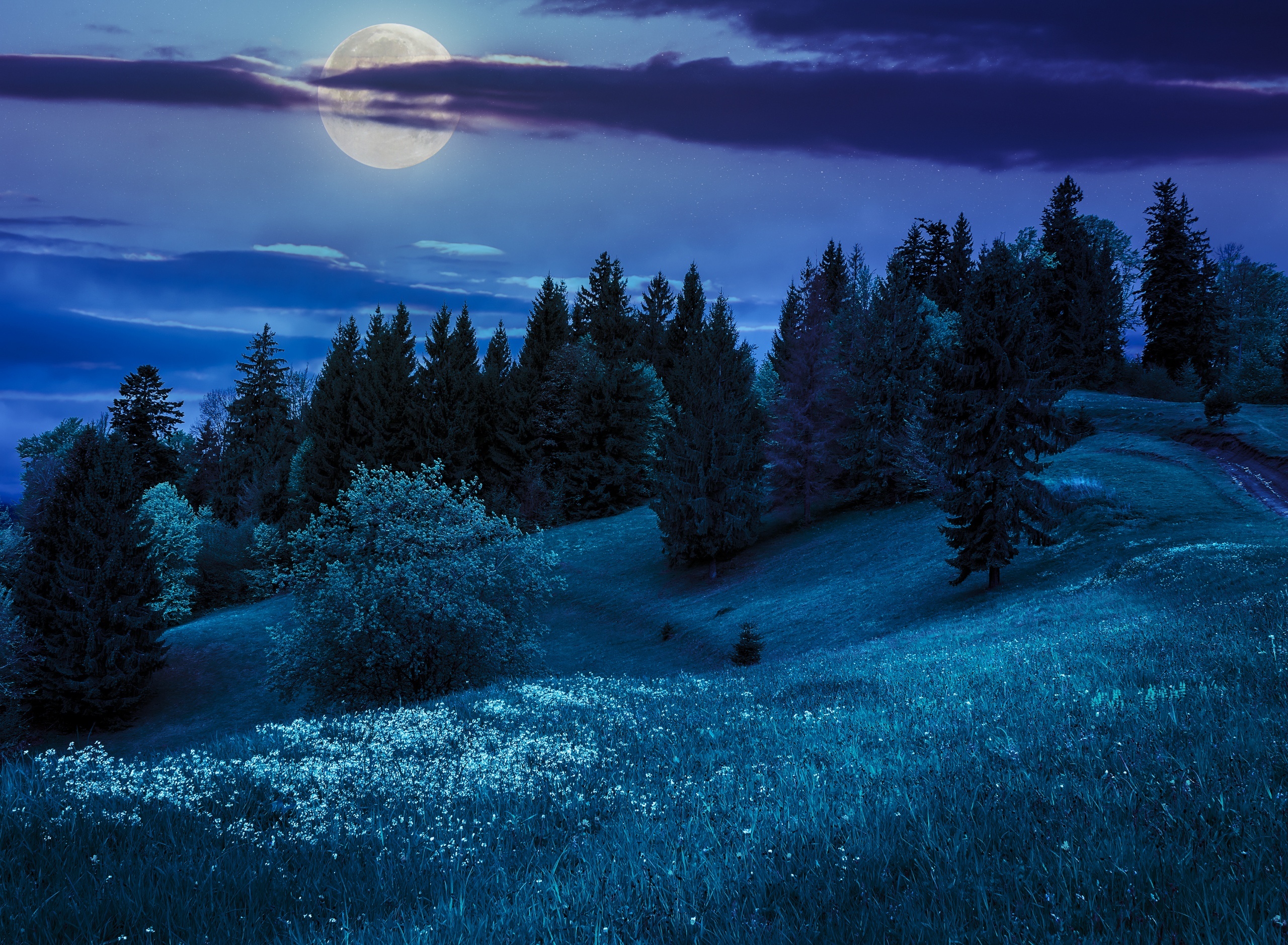 Download mobile wallpaper Winter, Night, Moon, Tree, Earth for free.