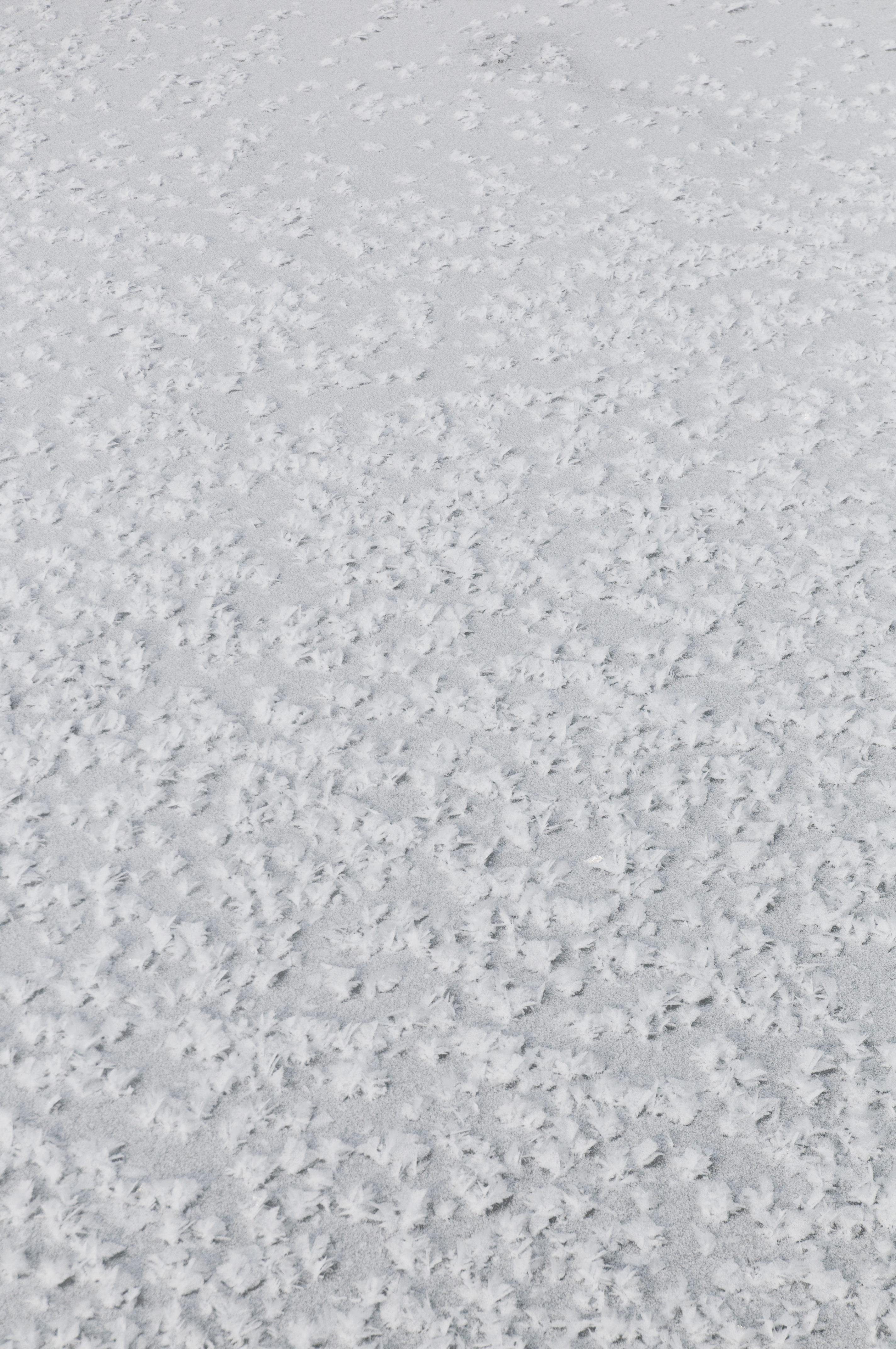 Download mobile wallpaper Snow, Surface, Texture, Textures for free.