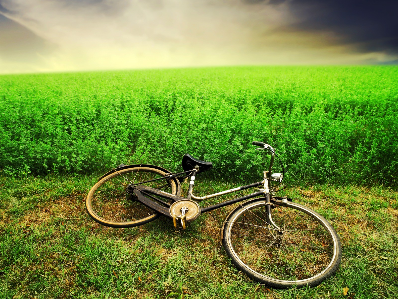Descarga gratis la imagen Bicicleta, Vehículos en el escritorio de tu PC