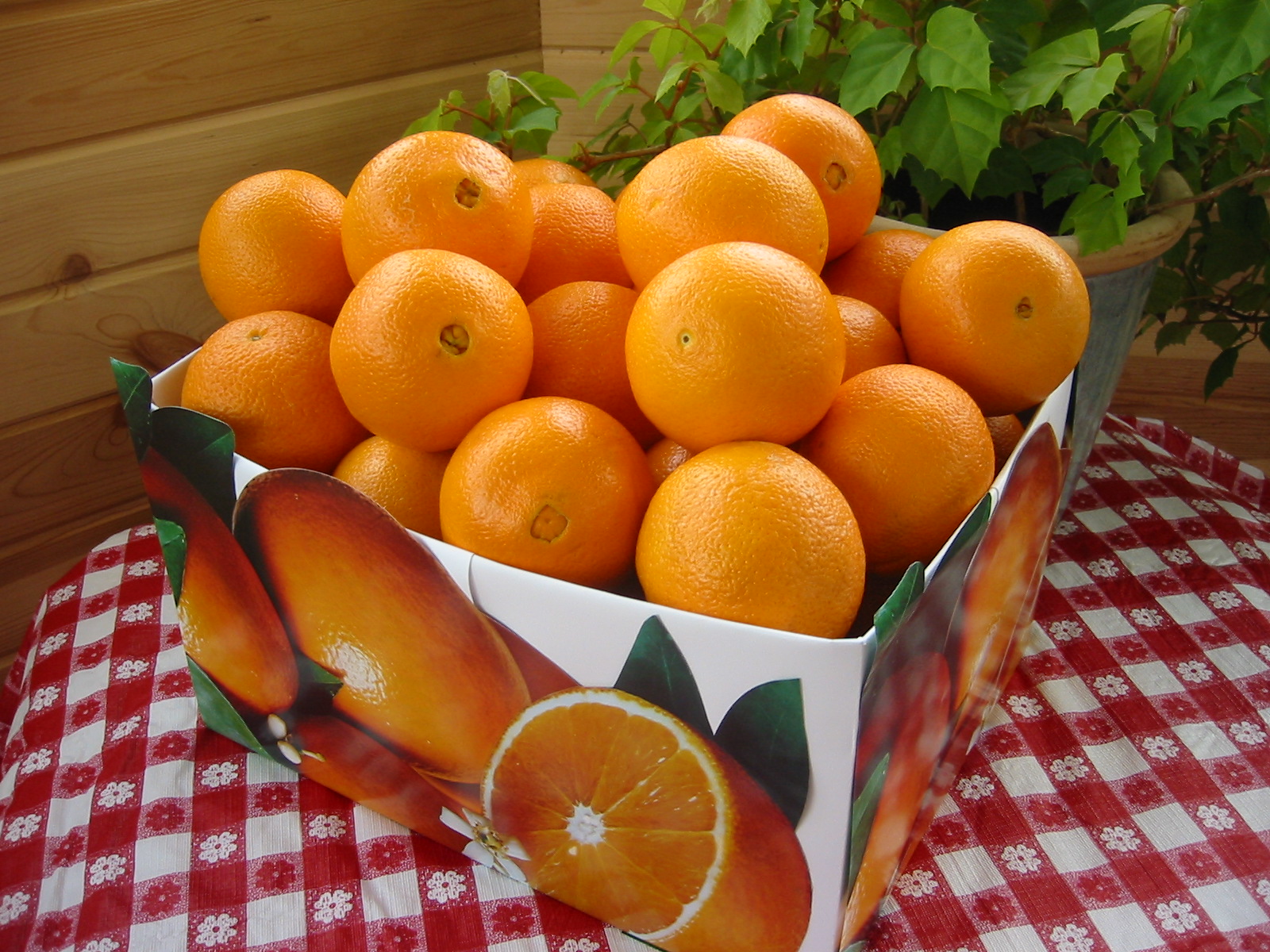521921 baixar papel de parede comida, laranja, frutas - protetores de tela e imagens gratuitamente