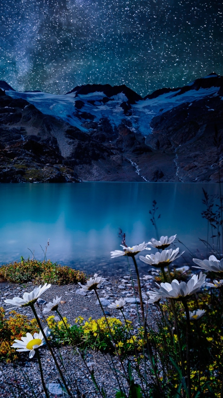 Descarga gratuita de fondo de pantalla para móvil de Naturaleza, Estrellas, Noche, Lago, Flor Blanca, Tierra/naturaleza.