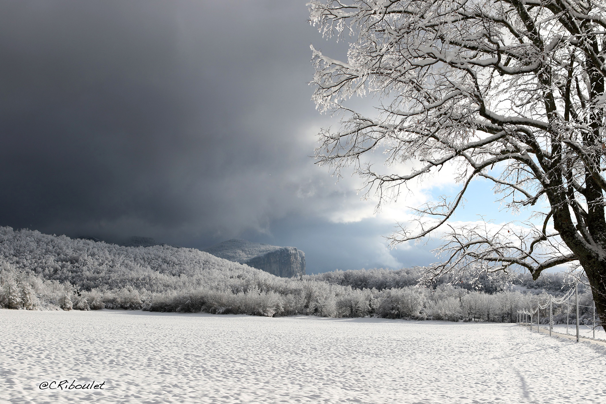 Handy-Wallpaper Landschaft, Winter, Schnee, Baum, Feld, Fotografie kostenlos herunterladen.