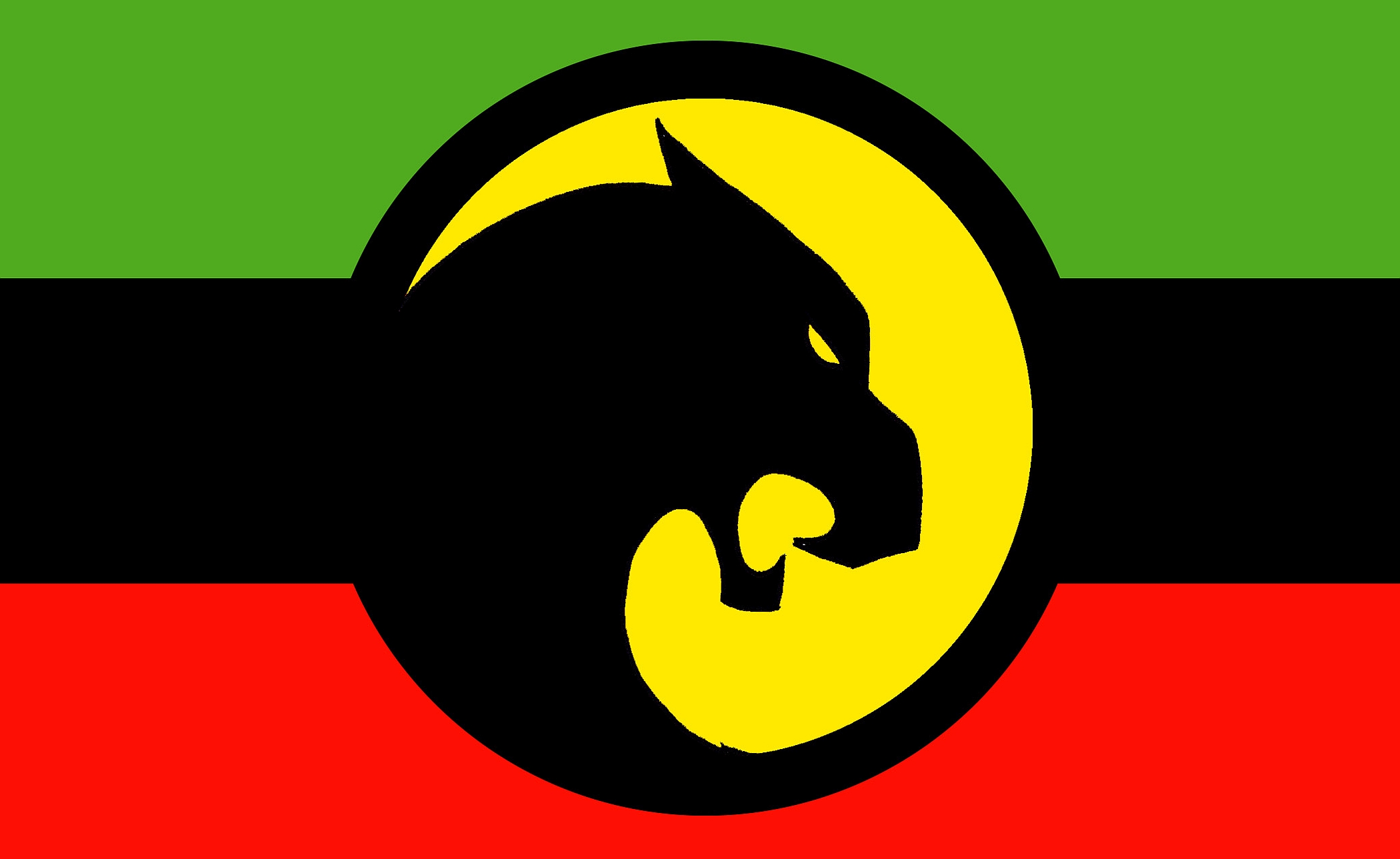 Baixar papéis de parede de desktop Bandeira De Wakanda HD