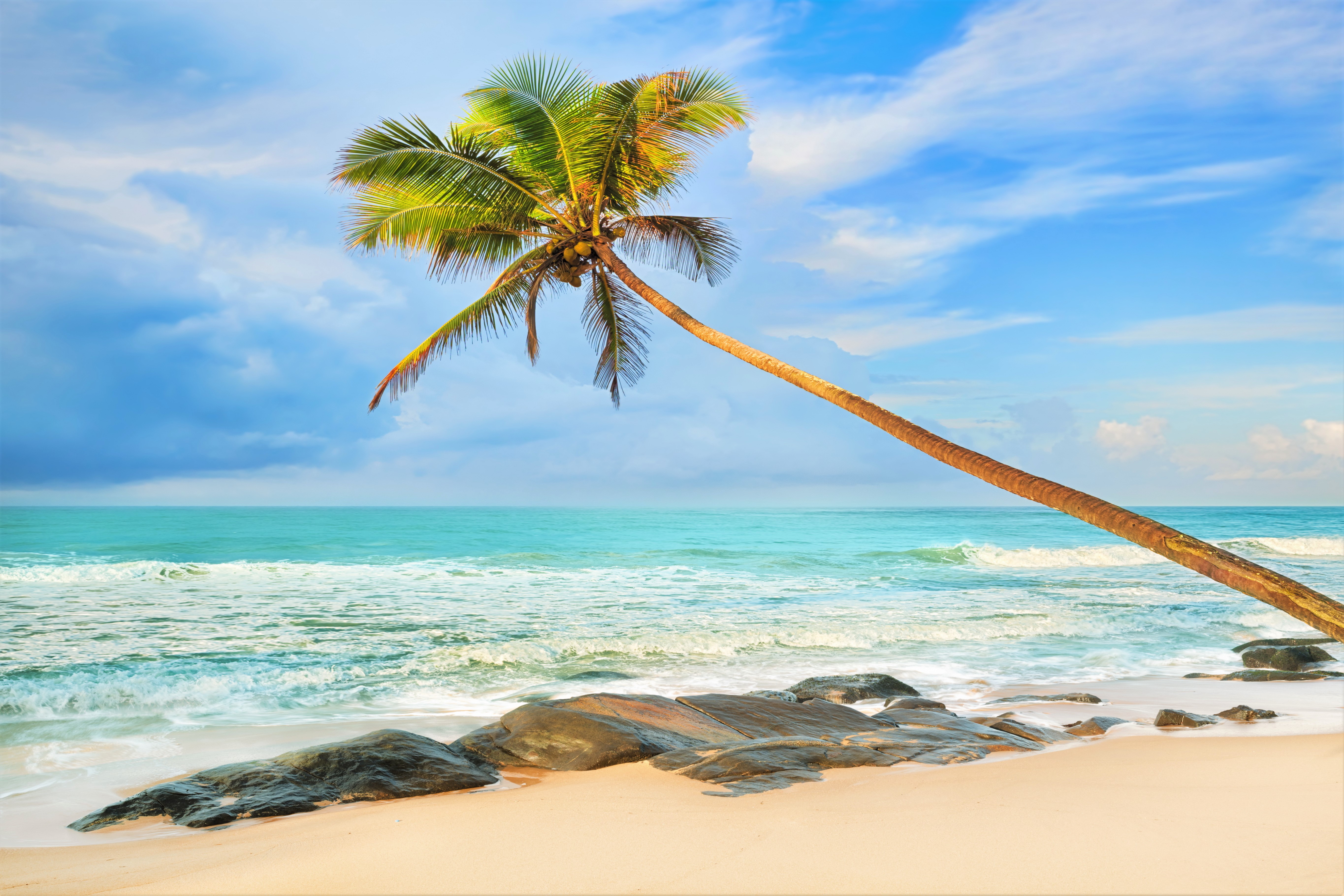 Baixar papel de parede para celular de Mar, Praia, Horizonte, Oceano, Palmeira, Tropical, Terra/natureza gratuito.