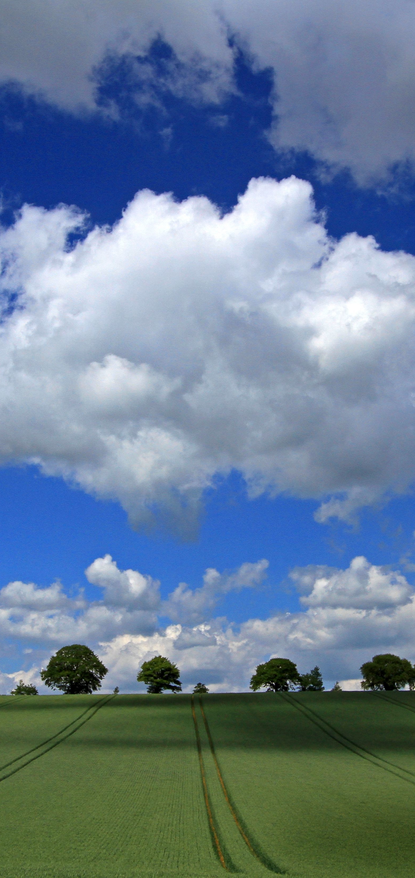 Download mobile wallpaper Sky, Tree, Earth, Field, Cloud for free.