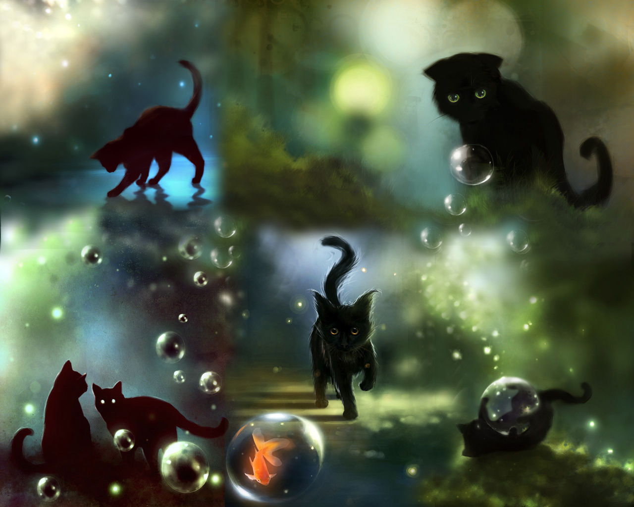 Free download wallpaper Cat, Animal on your PC desktop