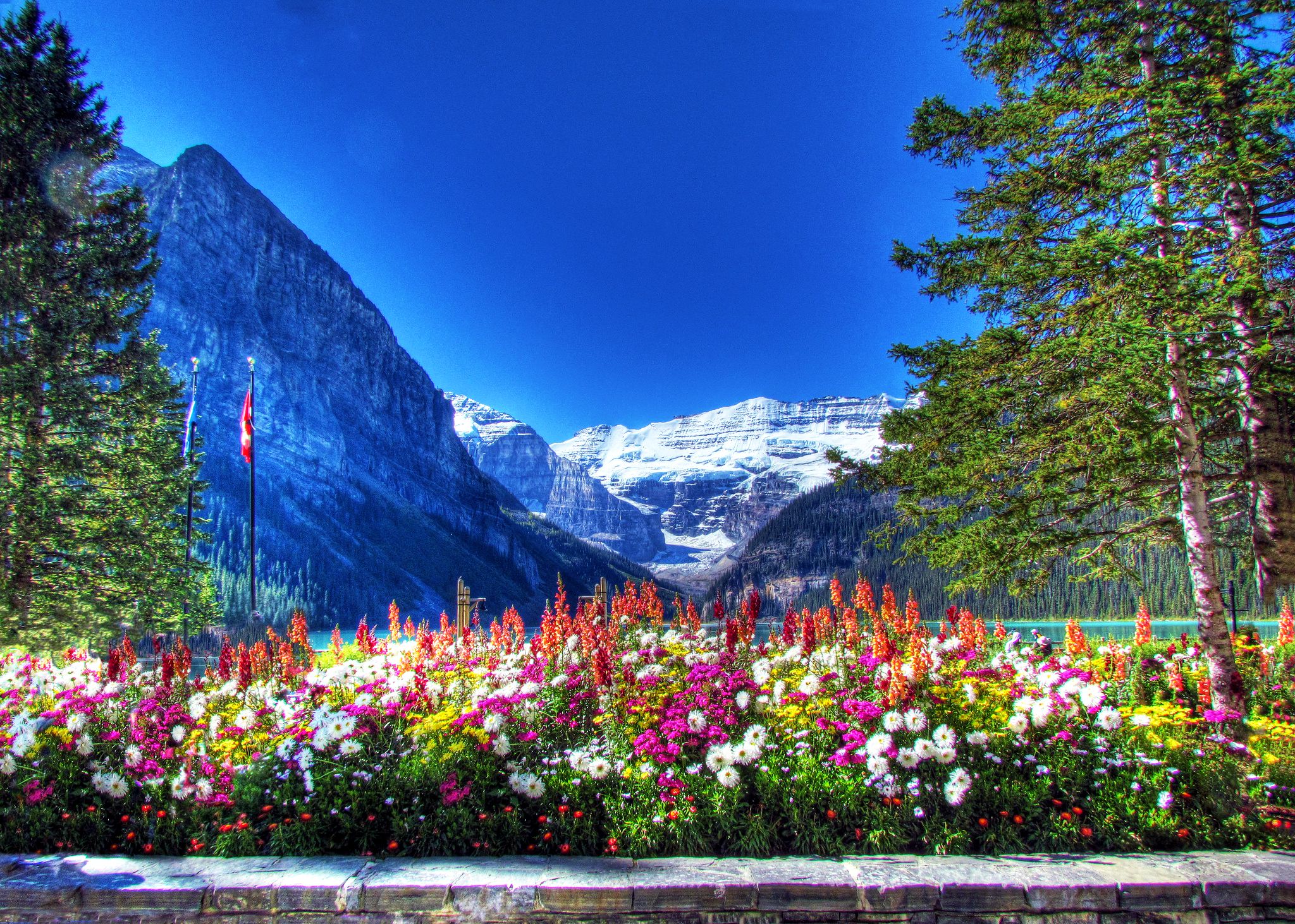 Скачать обои бесплатно Горы, Гора, Цветок, Земля/природа картинка на рабочий стол ПК