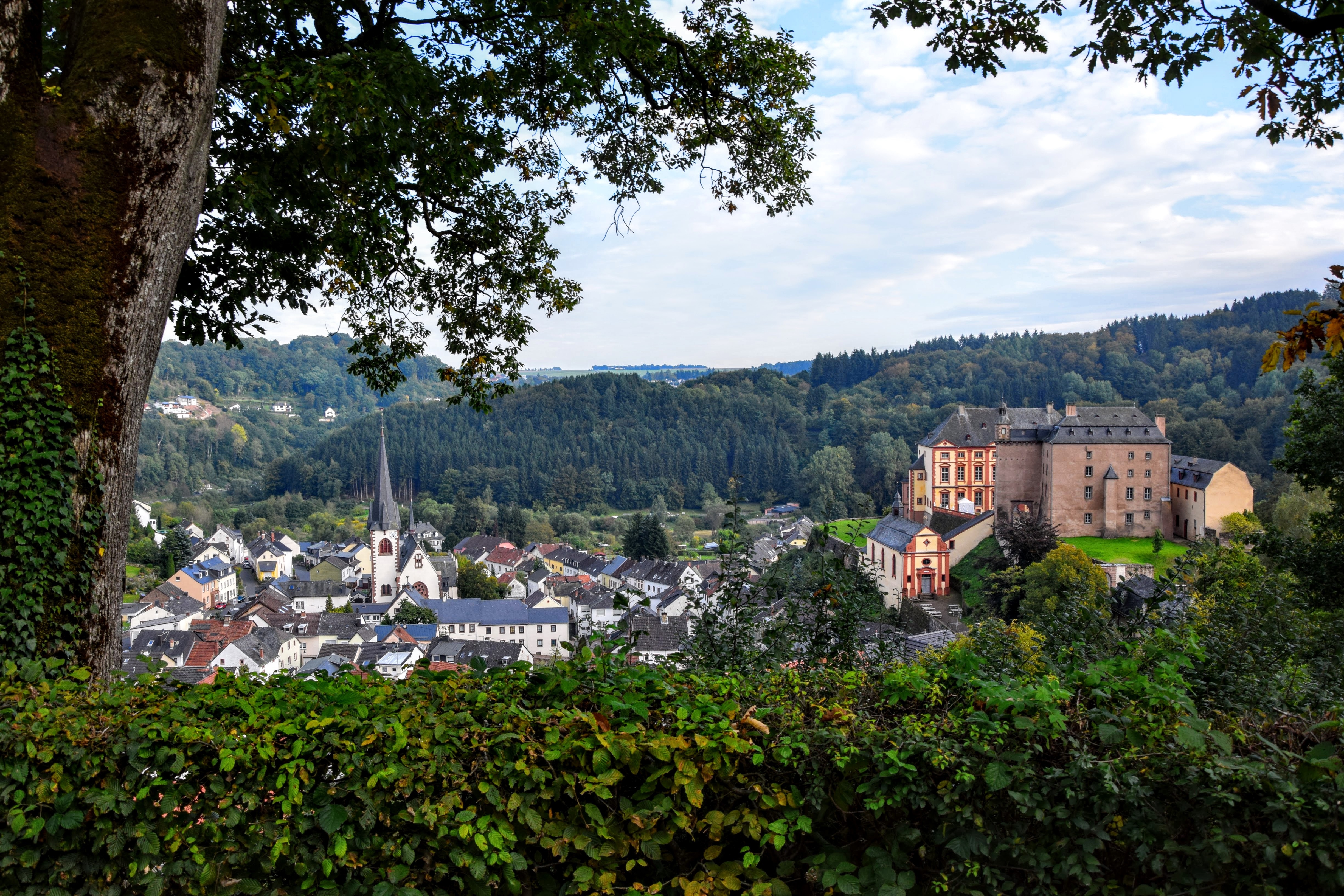 germany, trees, cities, architecture, building, malberg Full HD