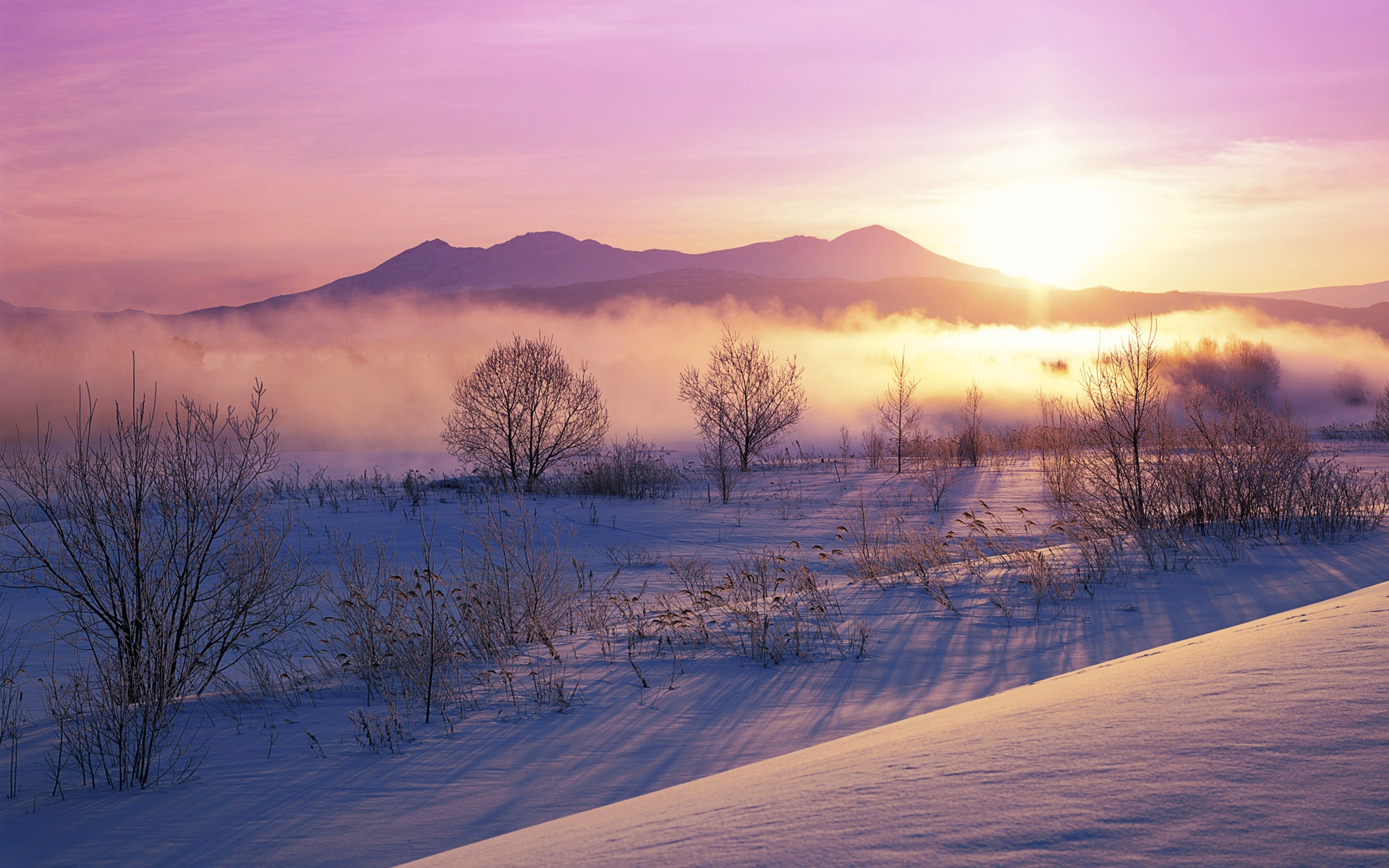Завантажити шпалери безкоштовно Зима, Земля, Схід Сонця картинка на робочий стіл ПК
