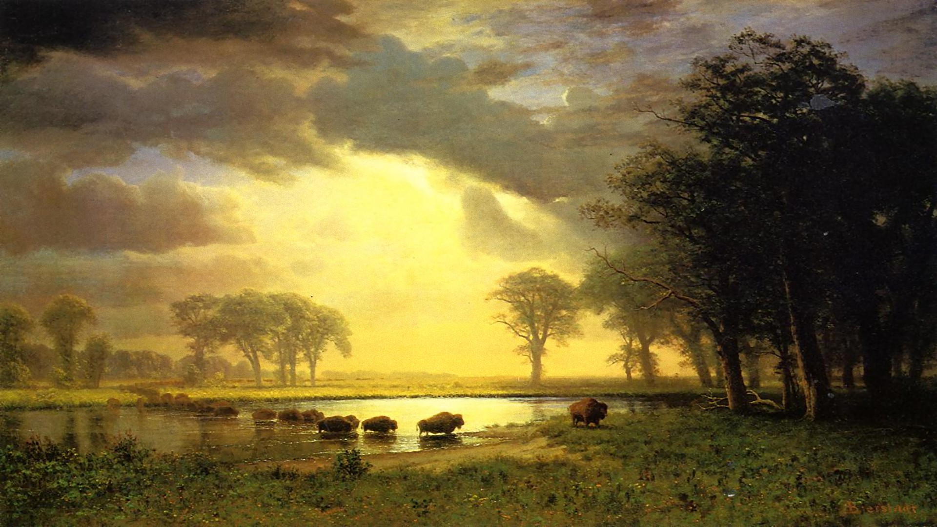 artistic, landscape, buffalo, river