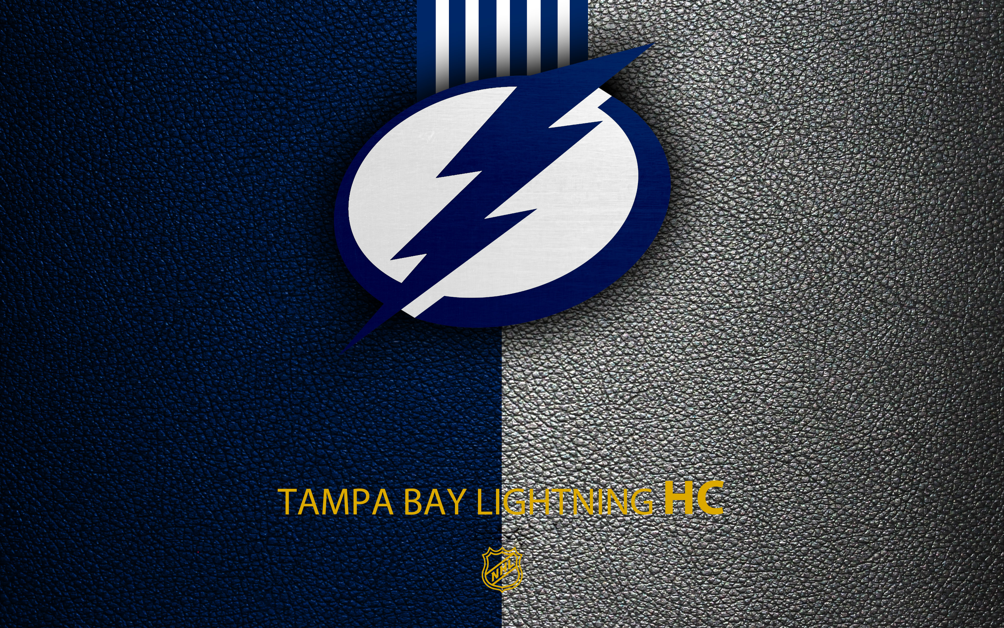 sports, tampa bay lightning, emblem, logo, nhl, hockey