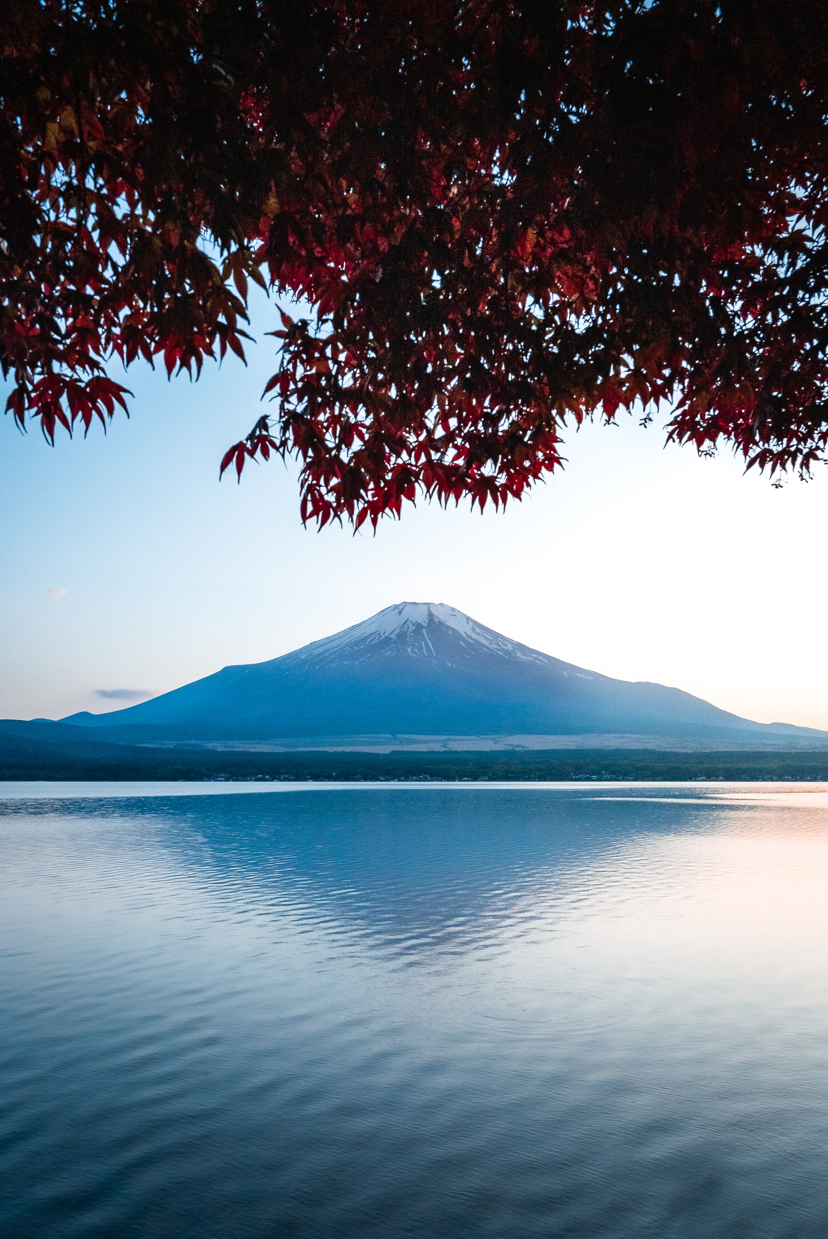 japan, lake, landscape, nature, mountain, fuji QHD