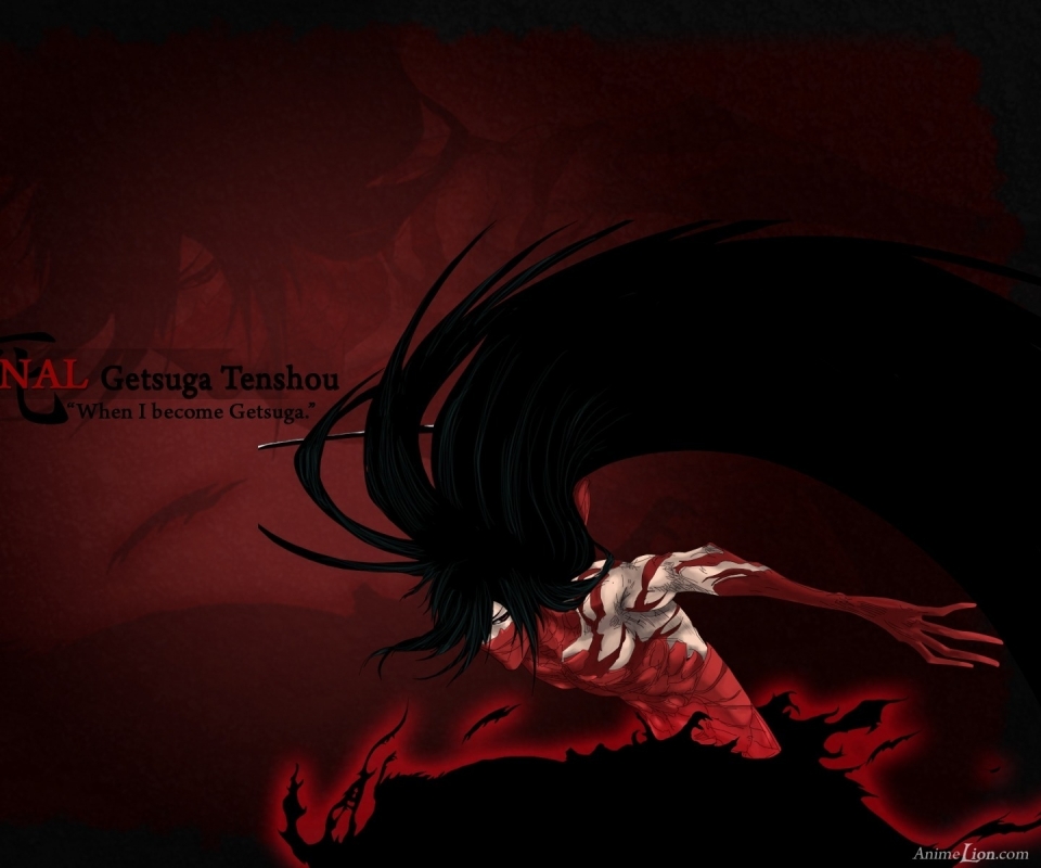 Download mobile wallpaper Anime, Bleach, Ichigo Kurosaki for free.