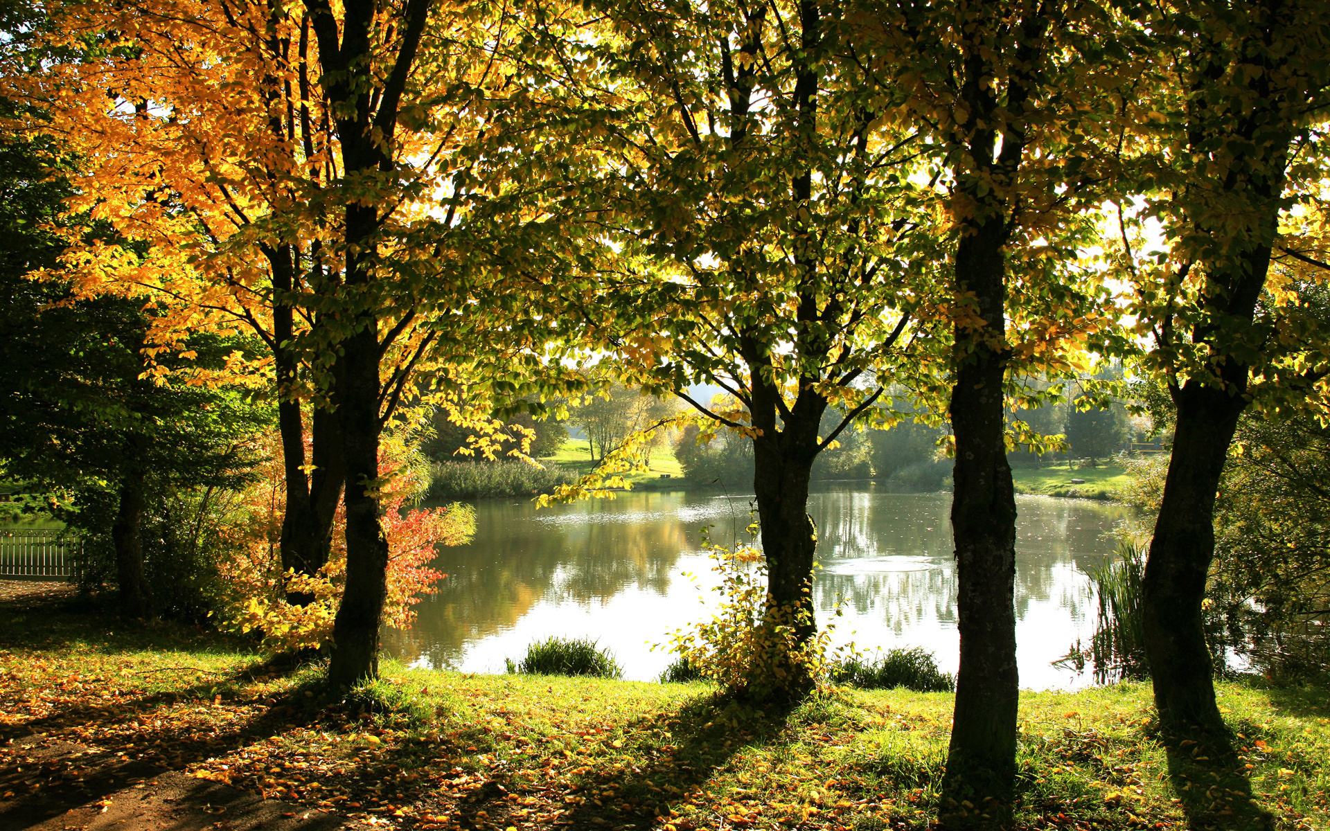 Téléchargez gratuitement l'image Lac, Terre/nature sur le bureau de votre PC