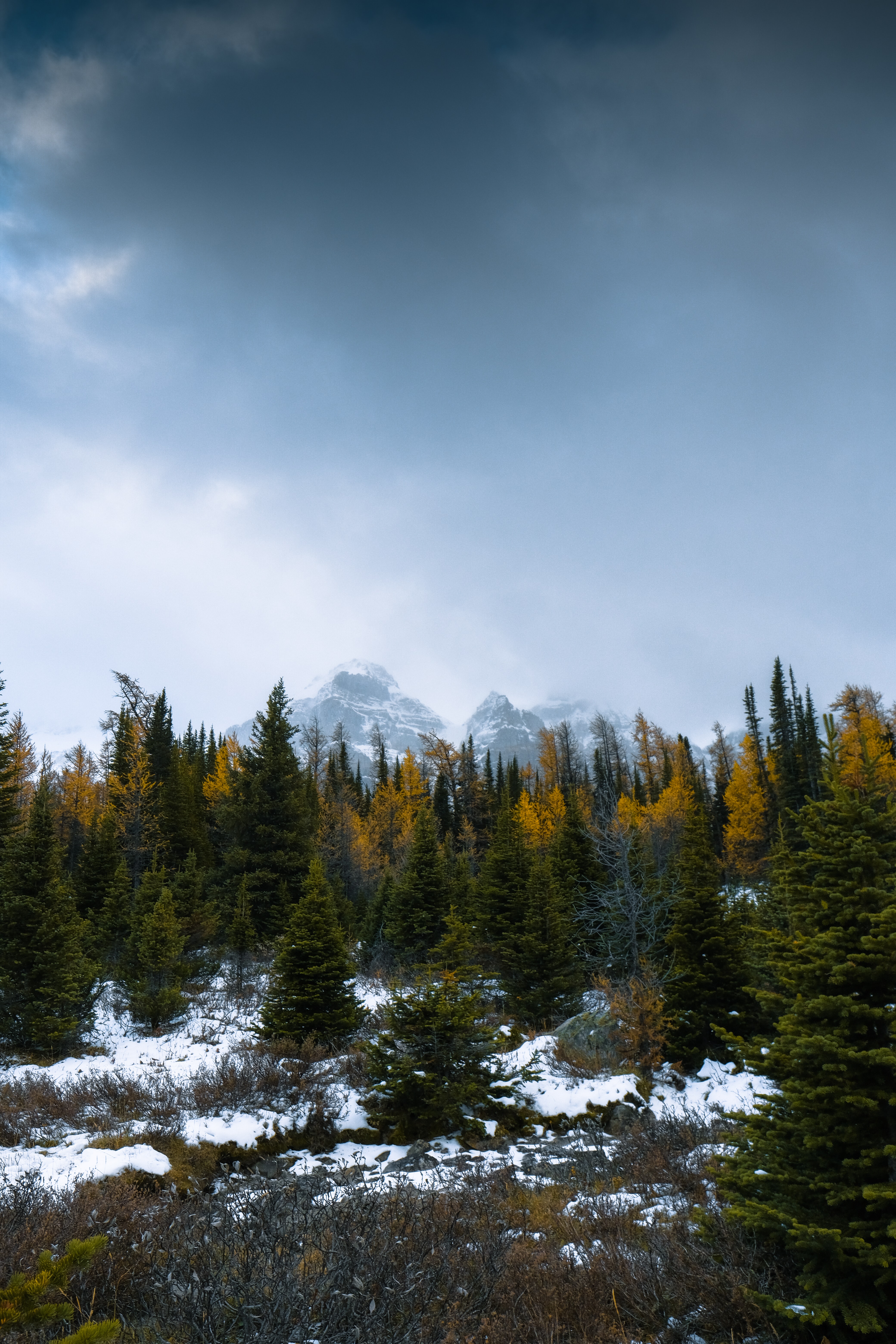 Free download wallpaper Trees, Mountains, Snow, Forest, Snowbound, Snow Covered, Nature on your PC desktop