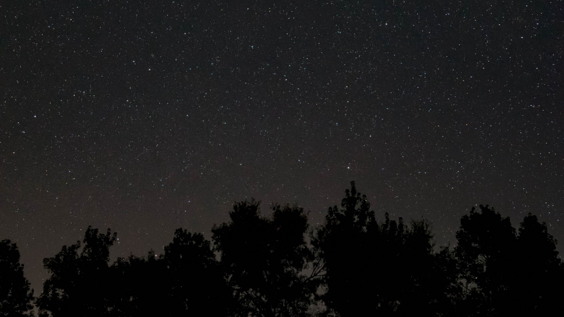 Скачать картинку Ночь, Звездное Небо, Земля/природа в телефон бесплатно.