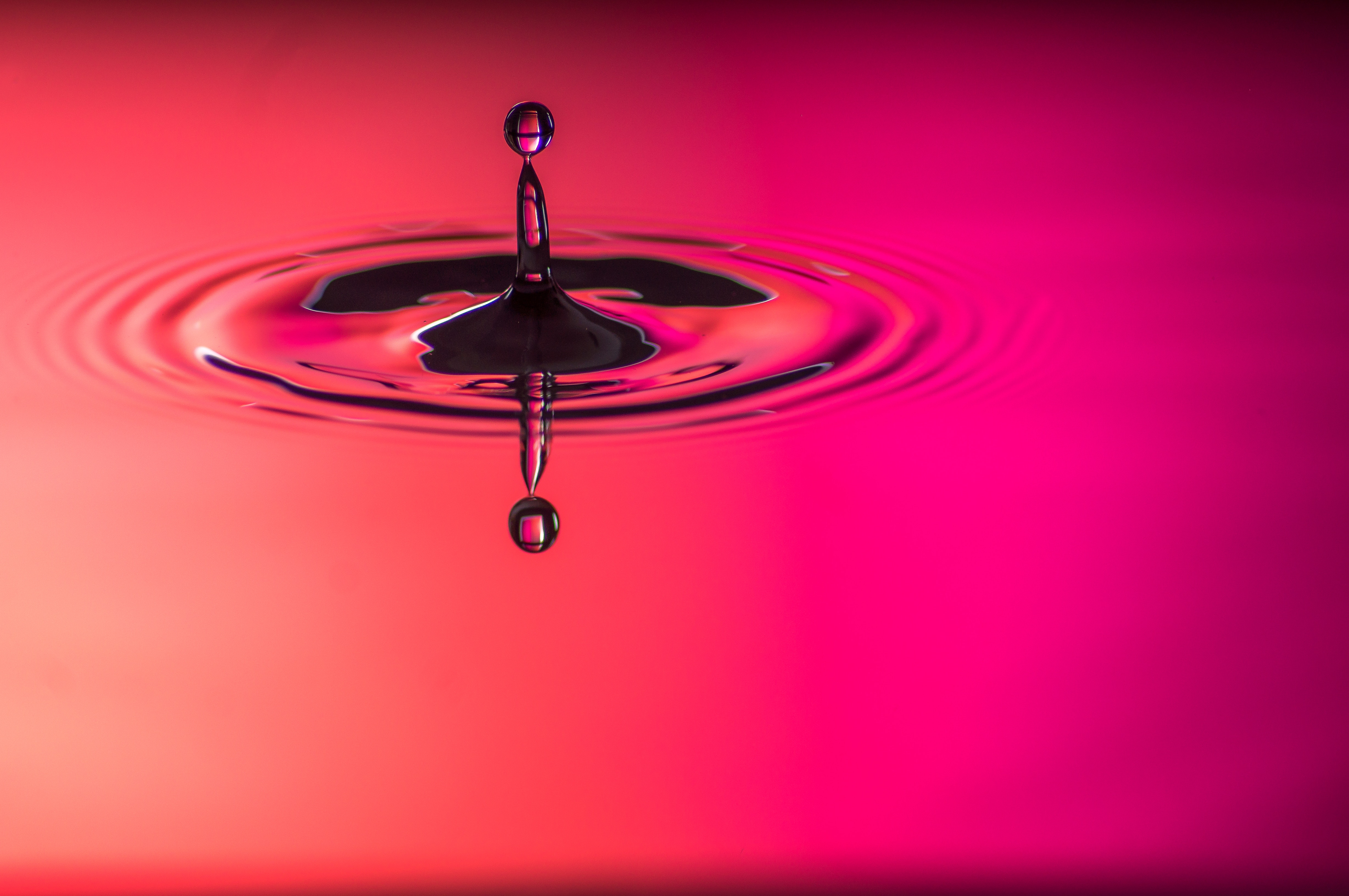 drop, pink, macro, circles, spray 32K