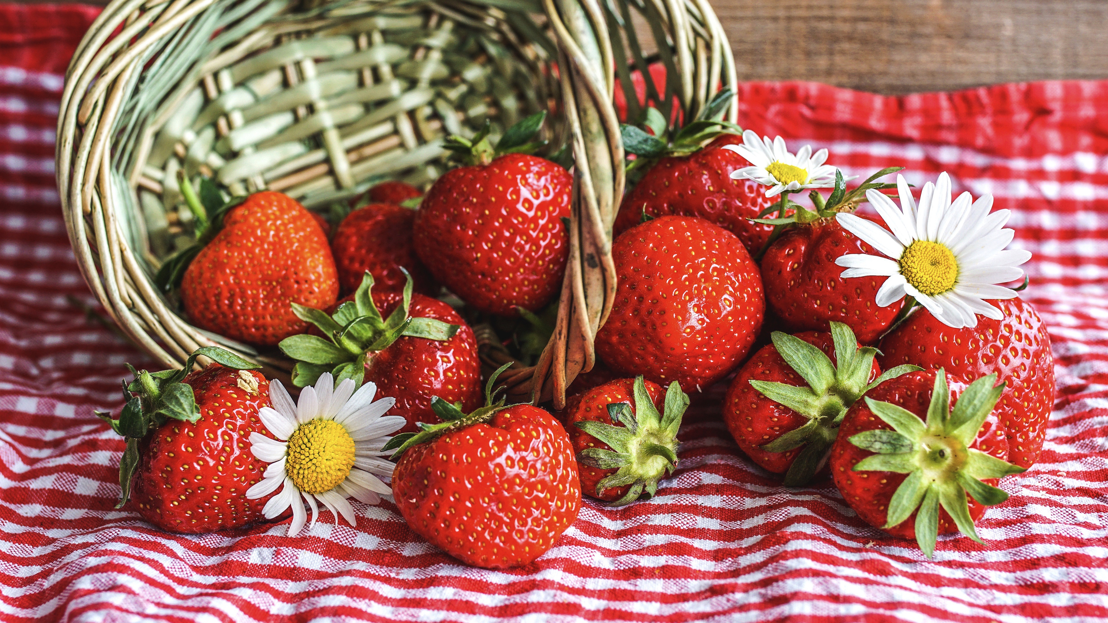 Download mobile wallpaper Fruits, Food, Strawberry, Berry, Basket, Chamomile for free.