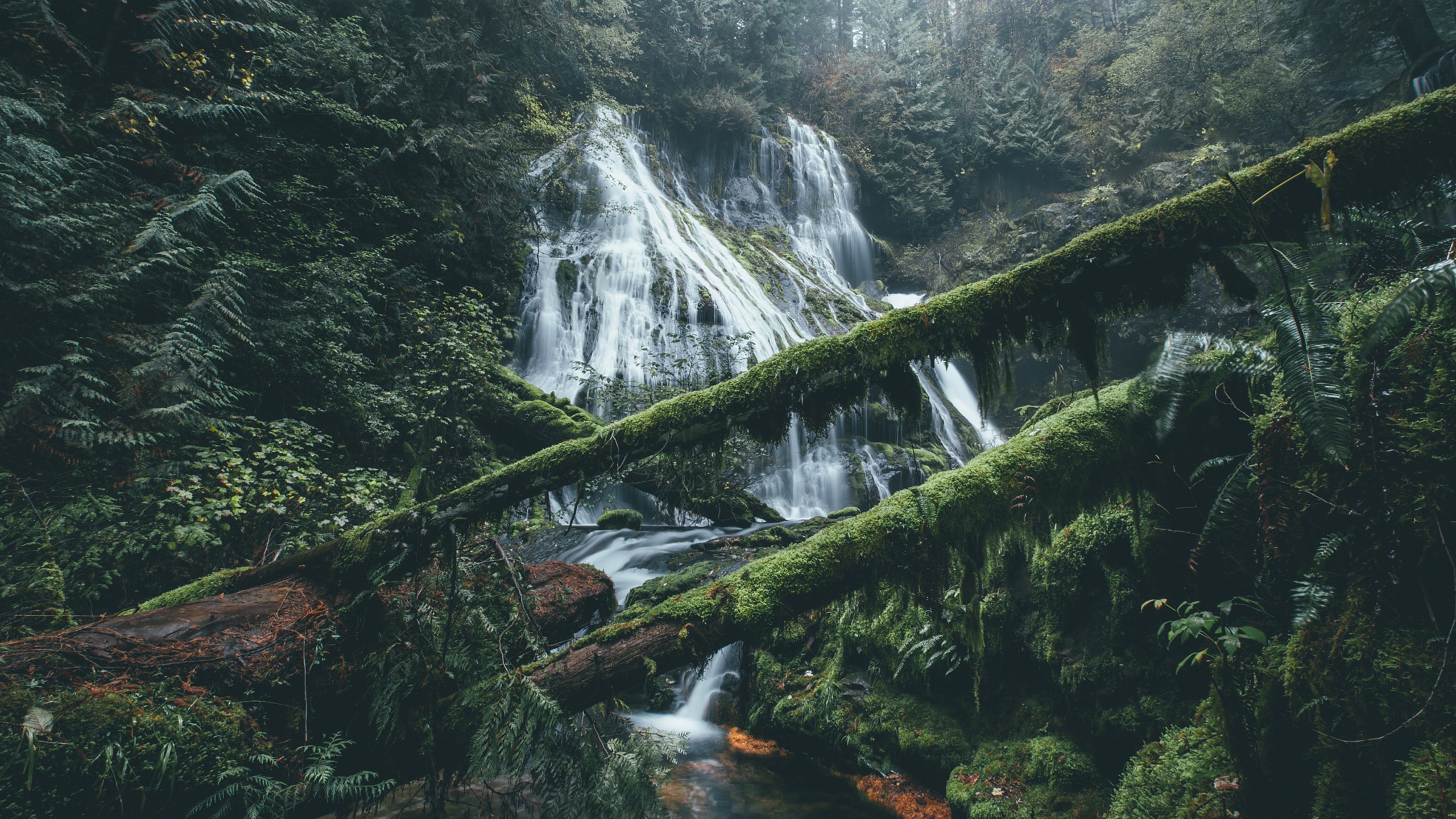 Handy-Wallpaper Natur, Wasserfälle, Wasserfall, Wald, Moos, Erde/natur kostenlos herunterladen.