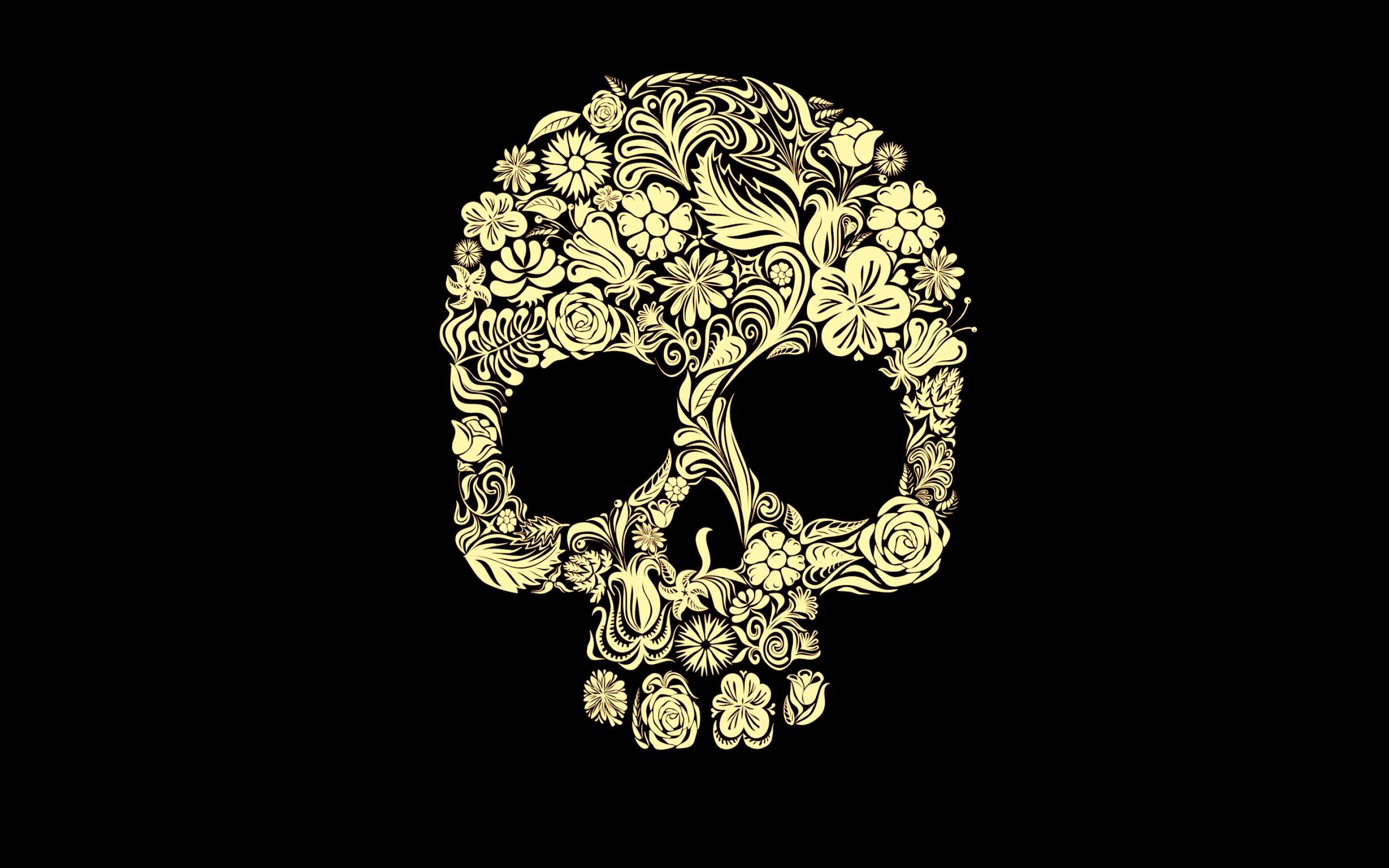 Free download wallpaper Dark, Skull on your PC desktop