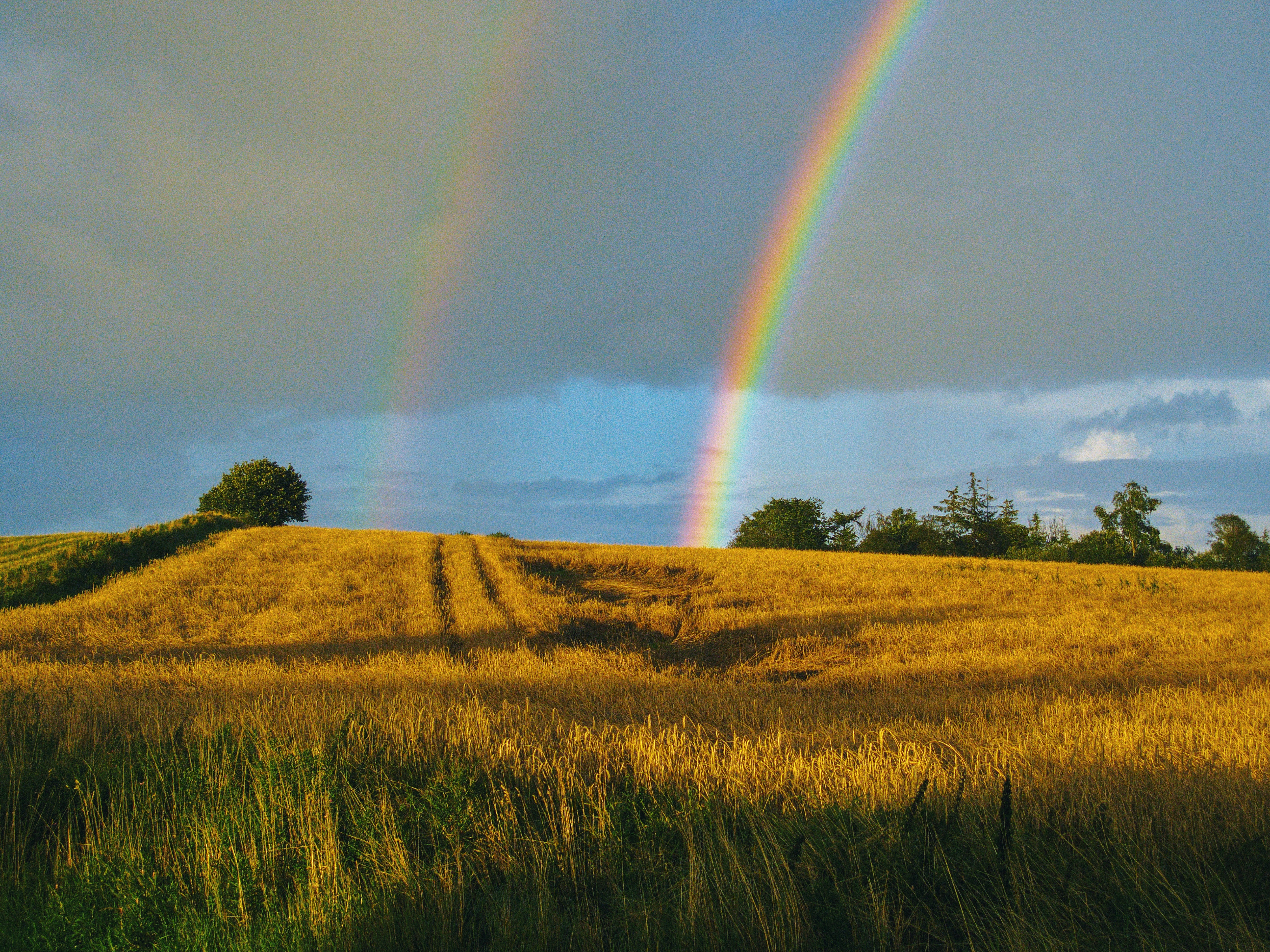 Download mobile wallpaper Field, Sky, Landscape, After The Rain, Nature, Rainbow for free.