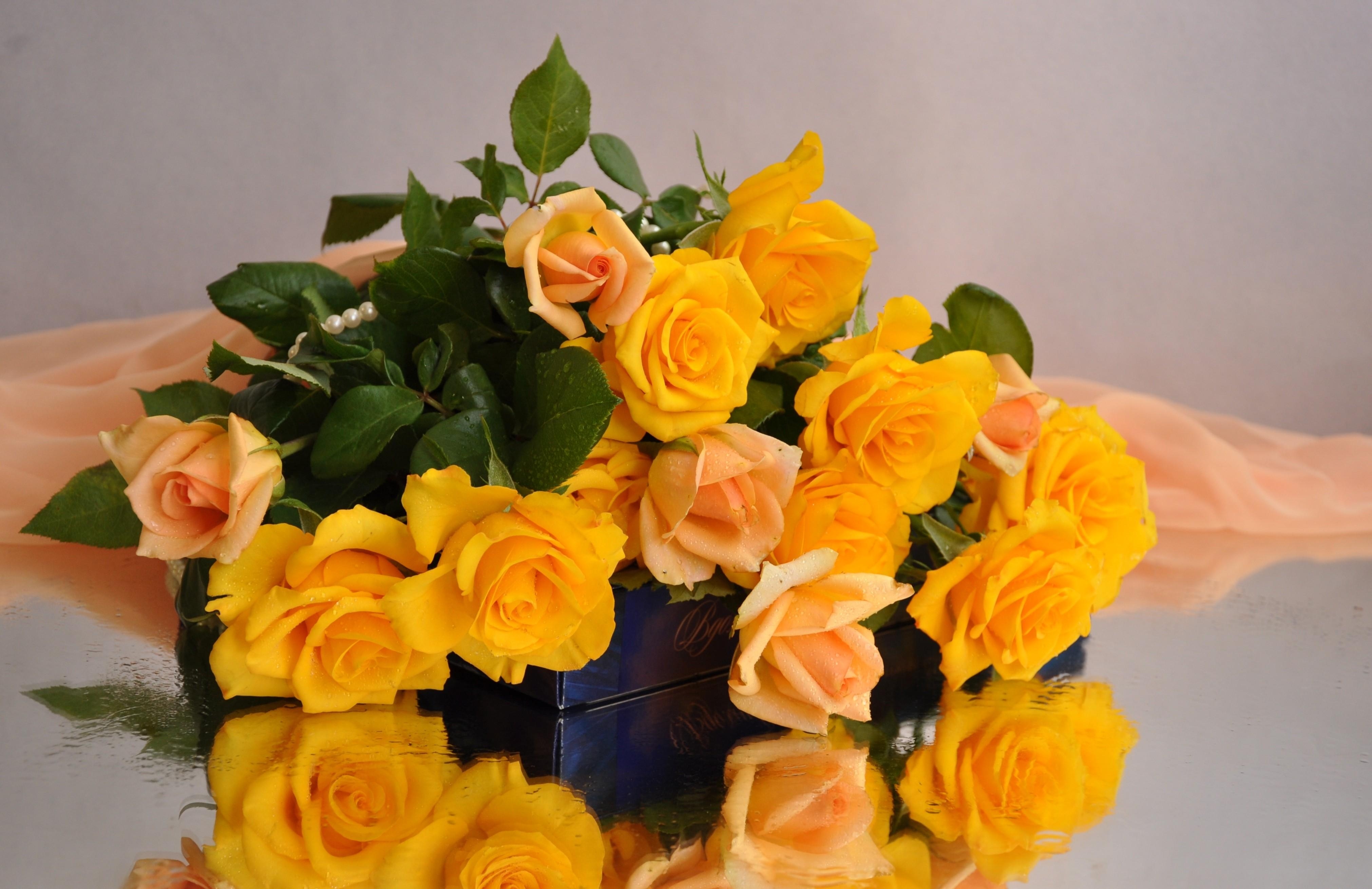 Laden Sie das Blume, Rose, Gelbe Blume, Menschengemacht, Spiegelung, Pfirsichblüte-Bild kostenlos auf Ihren PC-Desktop herunter