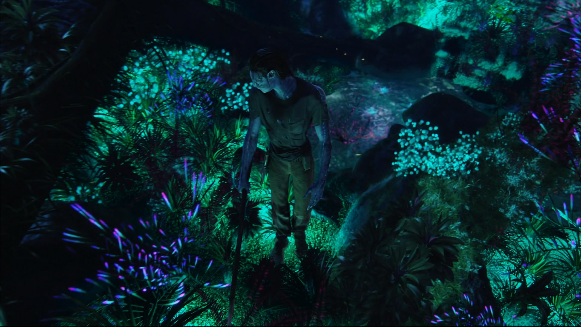 Laden Sie das Filme, Avatar Aufbruch Nach Pandora-Bild kostenlos auf Ihren PC-Desktop herunter