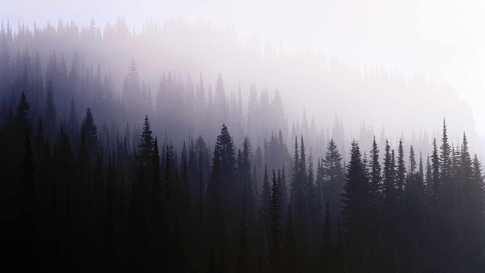 Скачать картинку Туман, Земля/природа в телефон бесплатно.